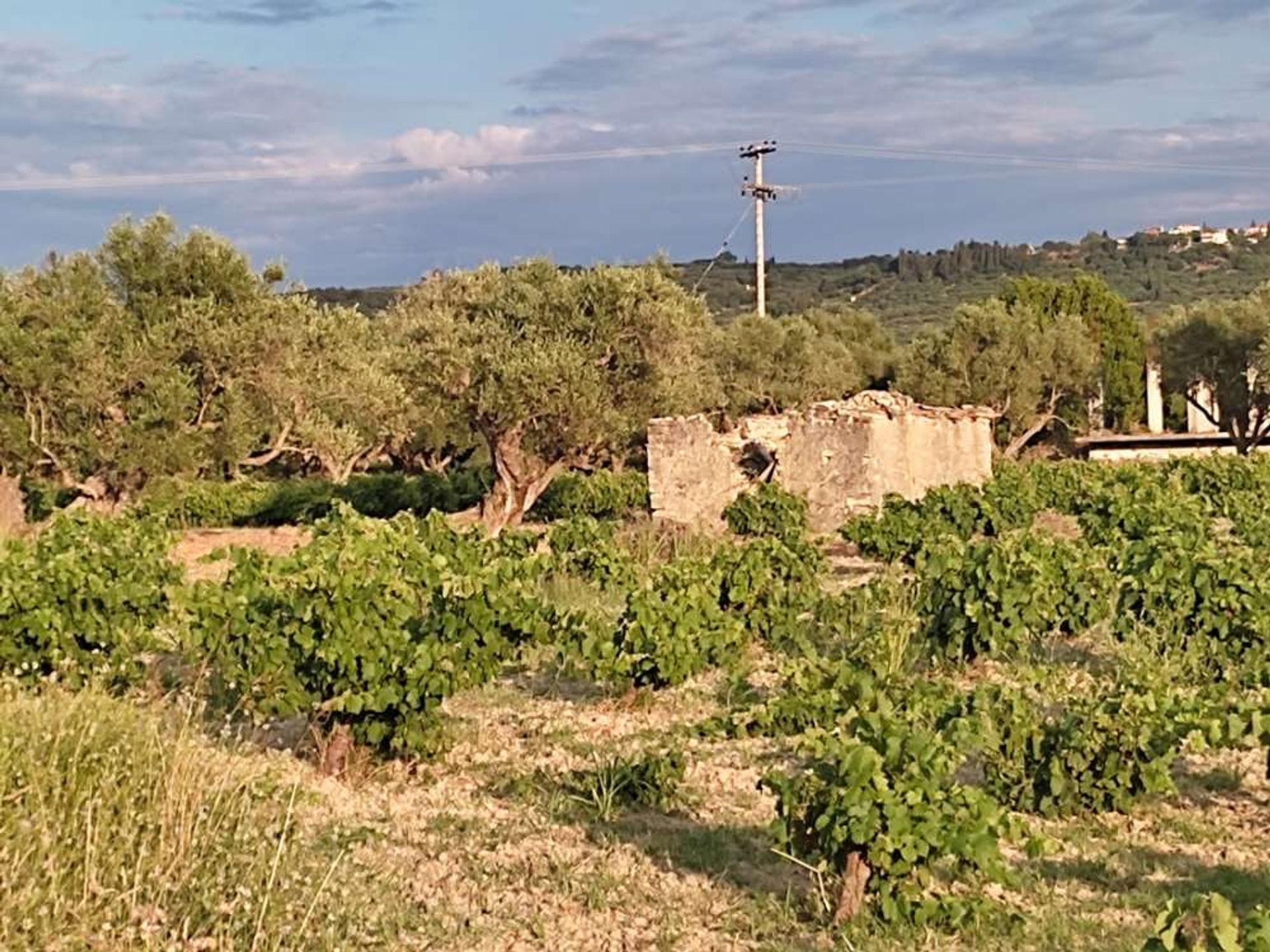 Land in Zakynthos, Zakinthos 10086717