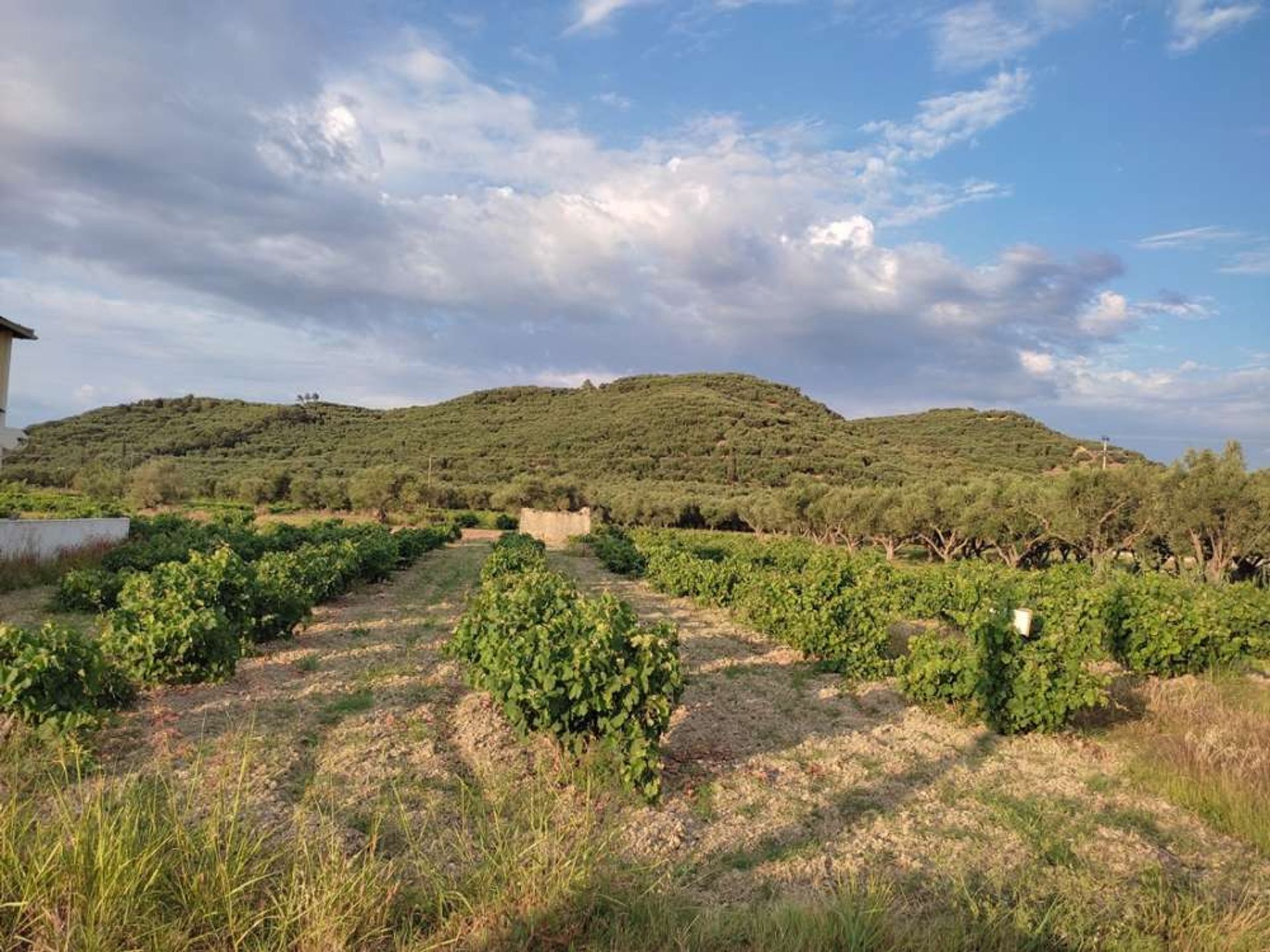 Land in Zakynthos, Zakinthos 10086717