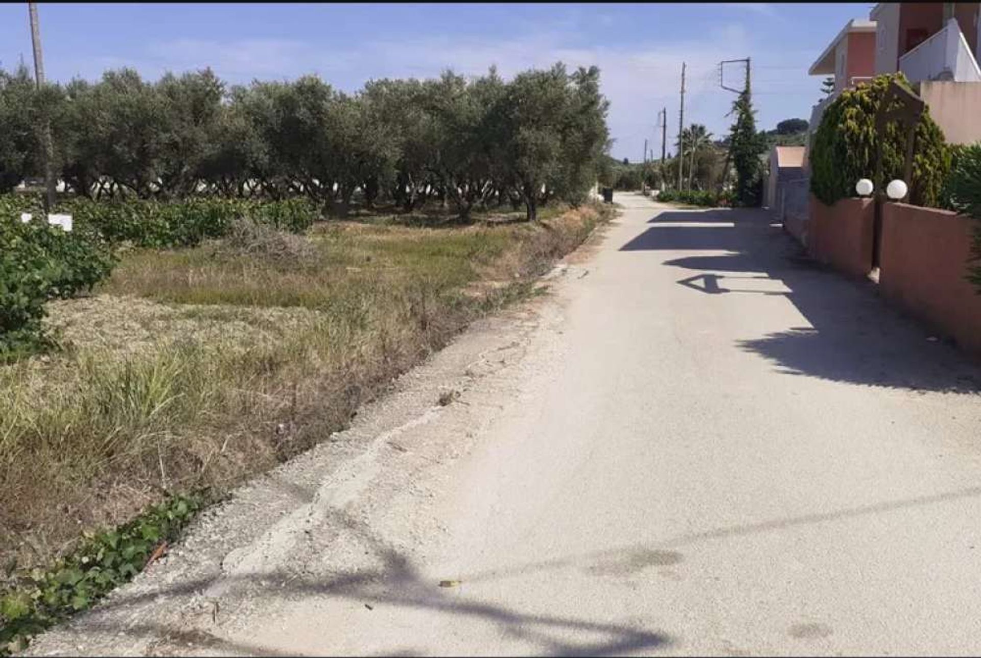 Land in Zakynthos, Zakinthos 10086717