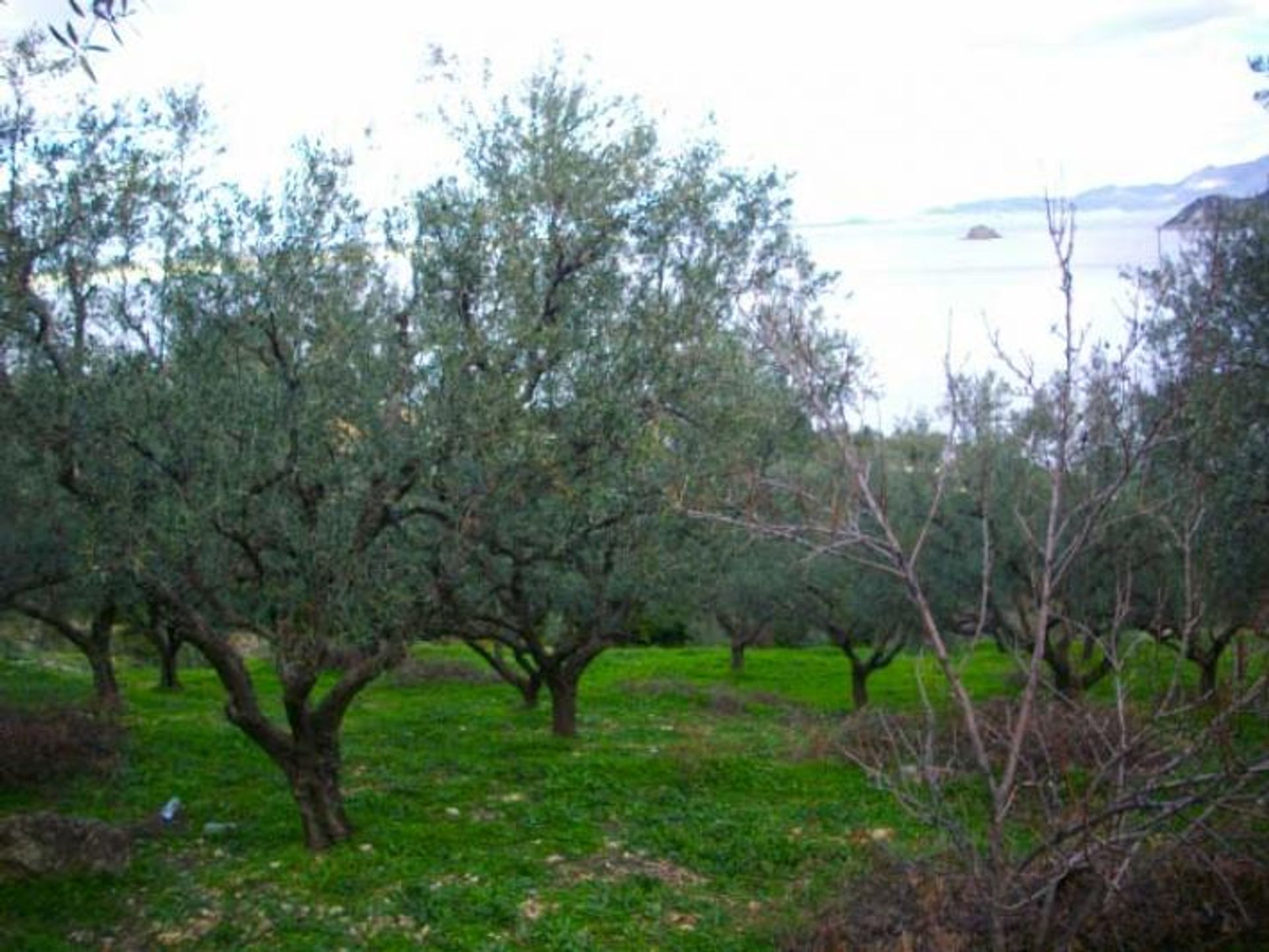 Tanah dalam Zakynthos, Zakinthos 10086718