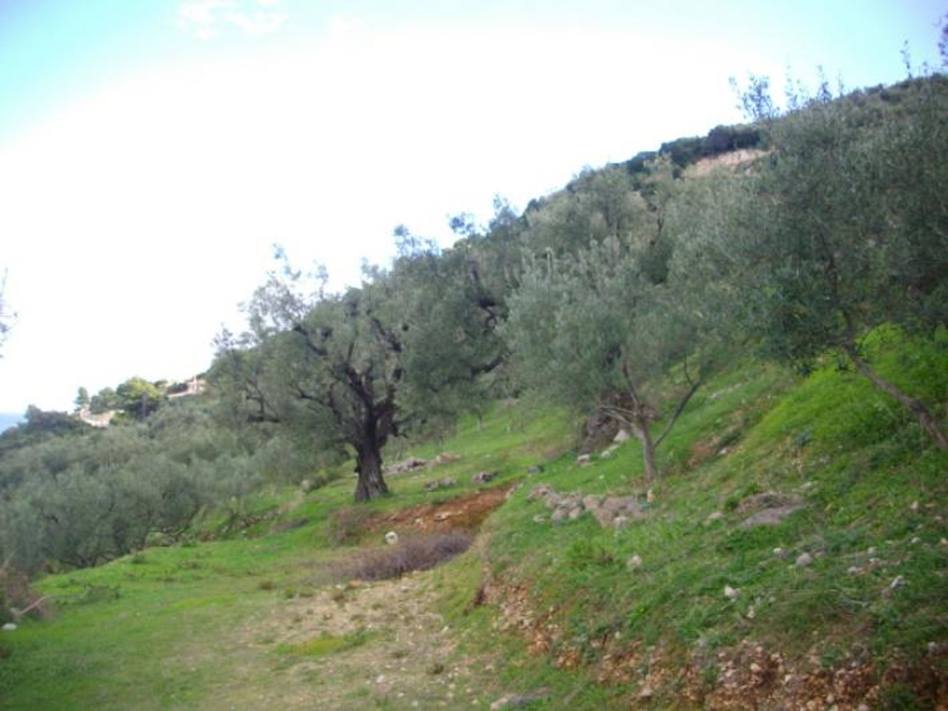 Tanah dalam Zakynthos, Zakinthos 10086718