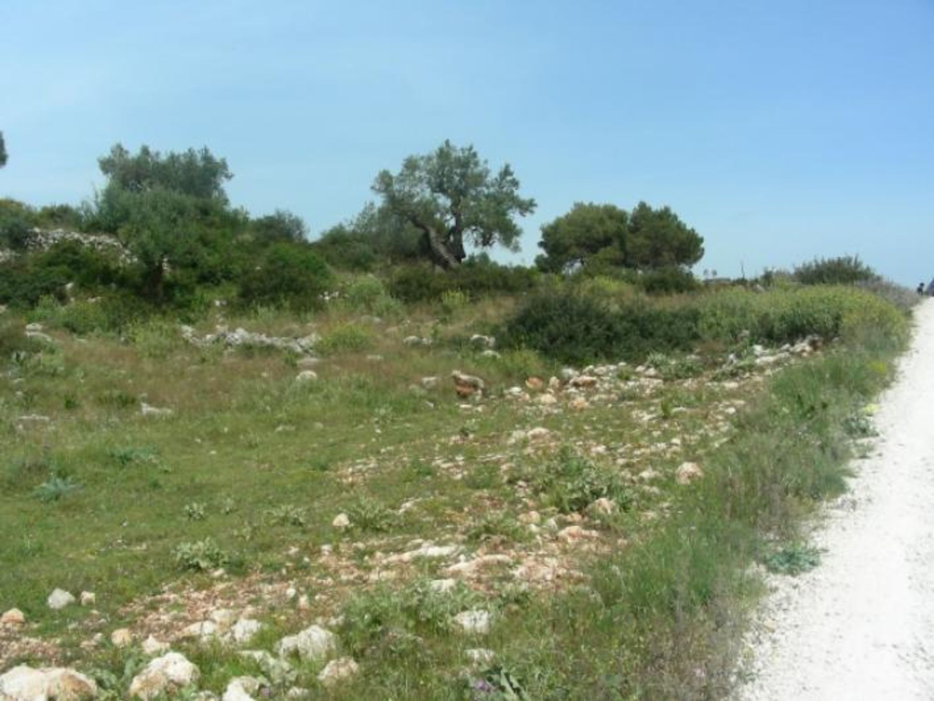 Tanah di Zakynthos, Zakinthos 10086721