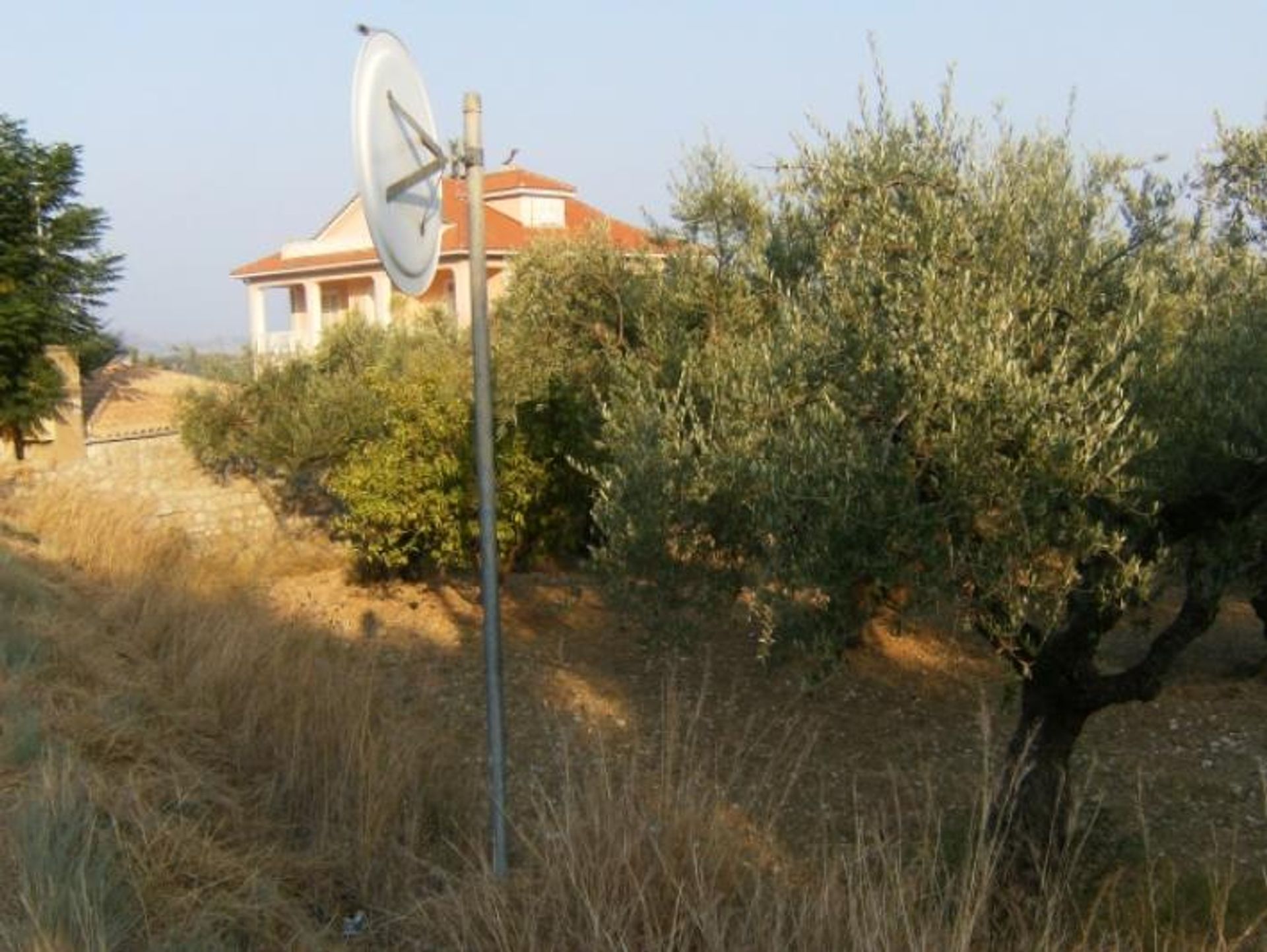 Tierra en Pantokratoras, Ionia Nisia 10086722