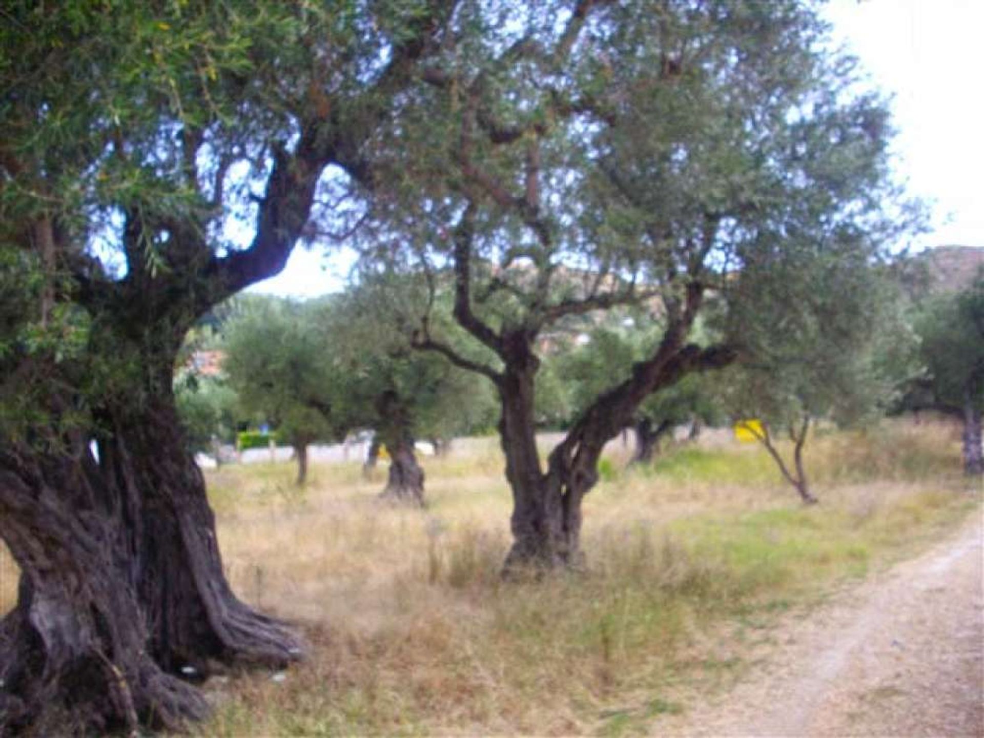 Tierra en Zakynthos, Zakinthos 10086724