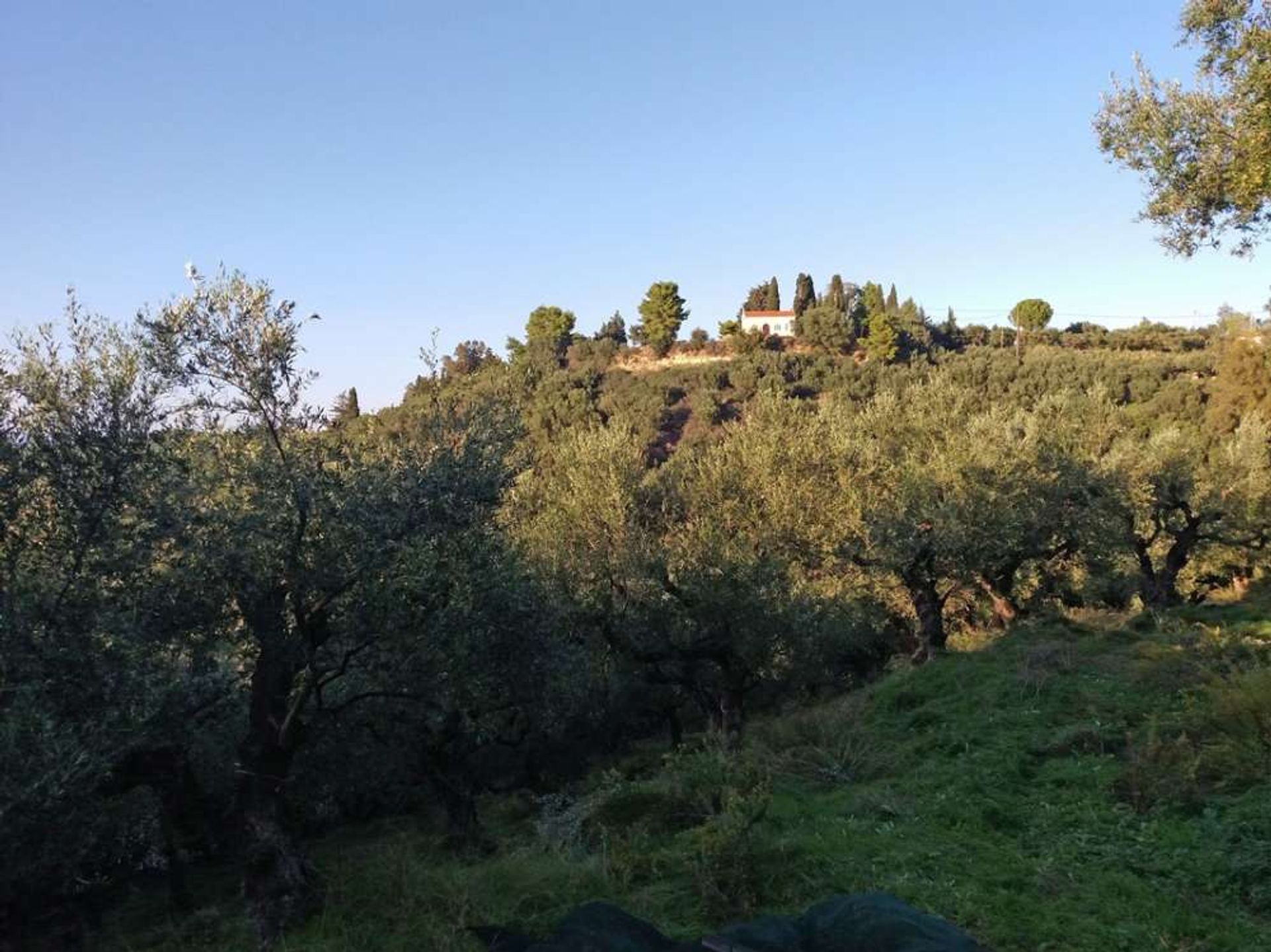 Land in Zakynthos, Zakinthos 10086727