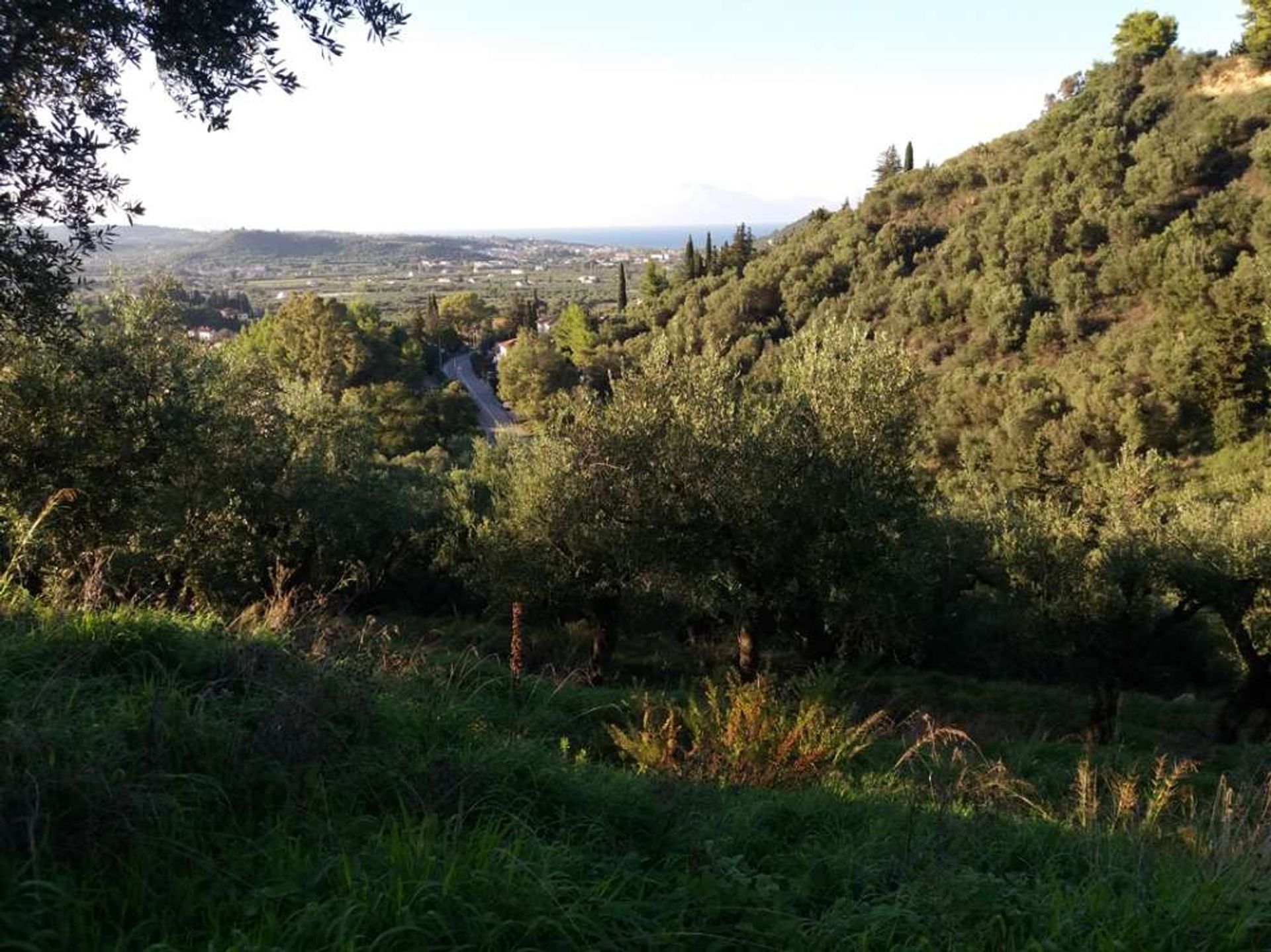 Land i Zakynthos, Zakinthos 10086727