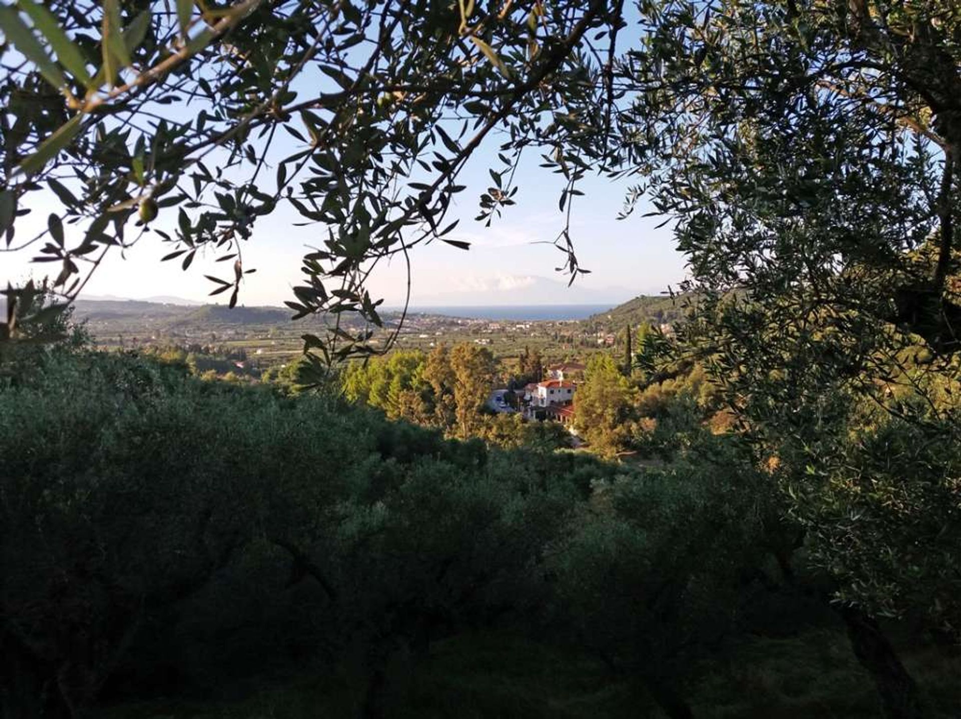 土地 在 Zakynthos, Zakinthos 10086727