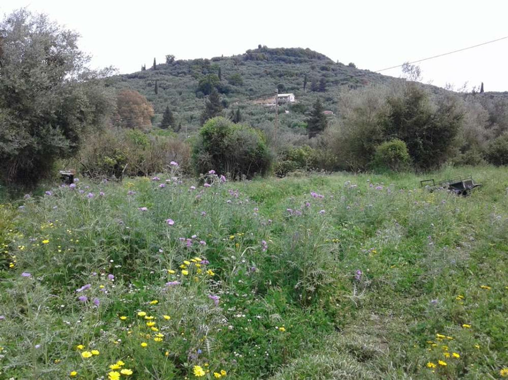 भूमि में Zakynthos, Zakinthos 10086728