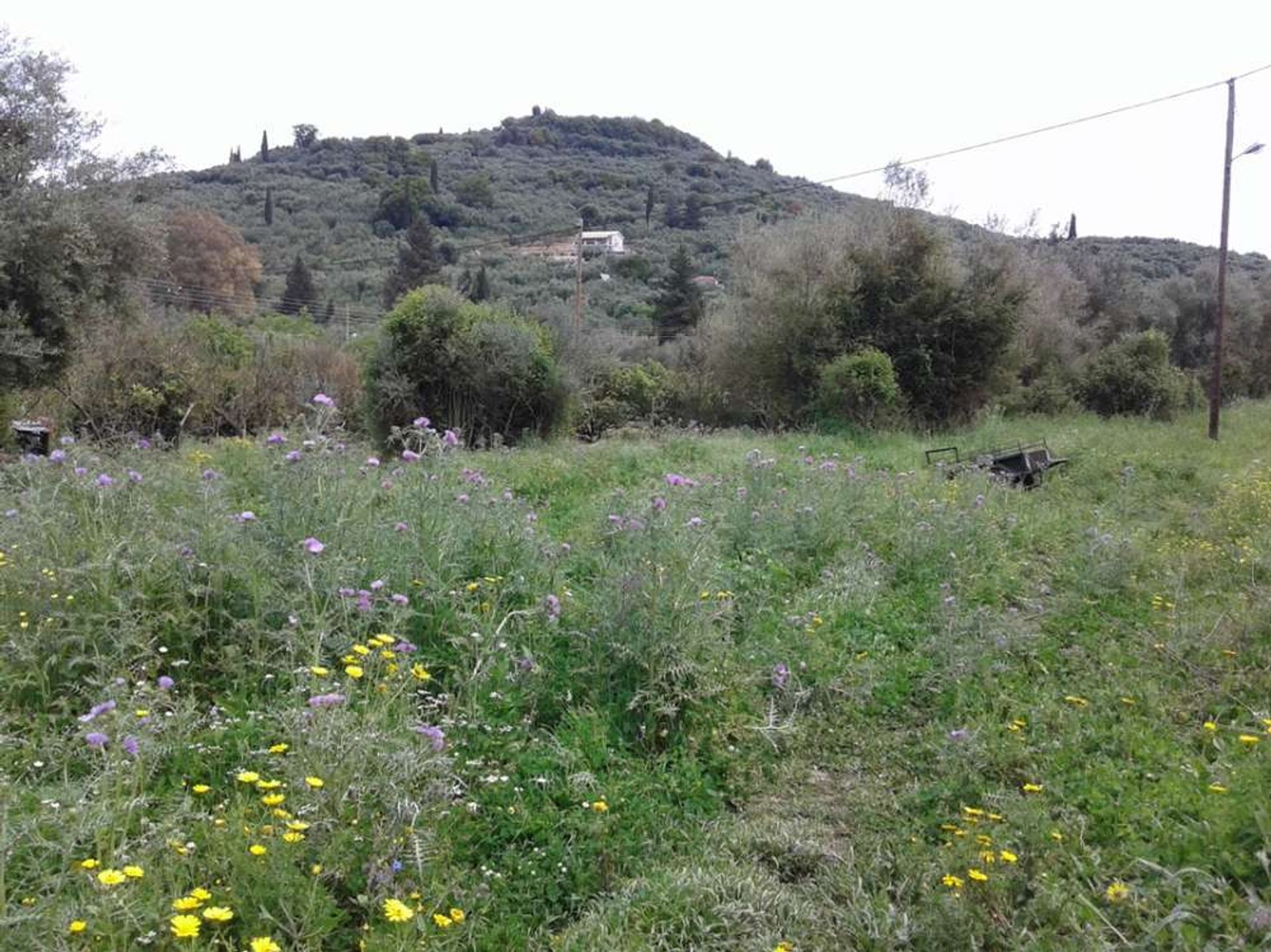 भूमि में Zakynthos, Zakinthos 10086728