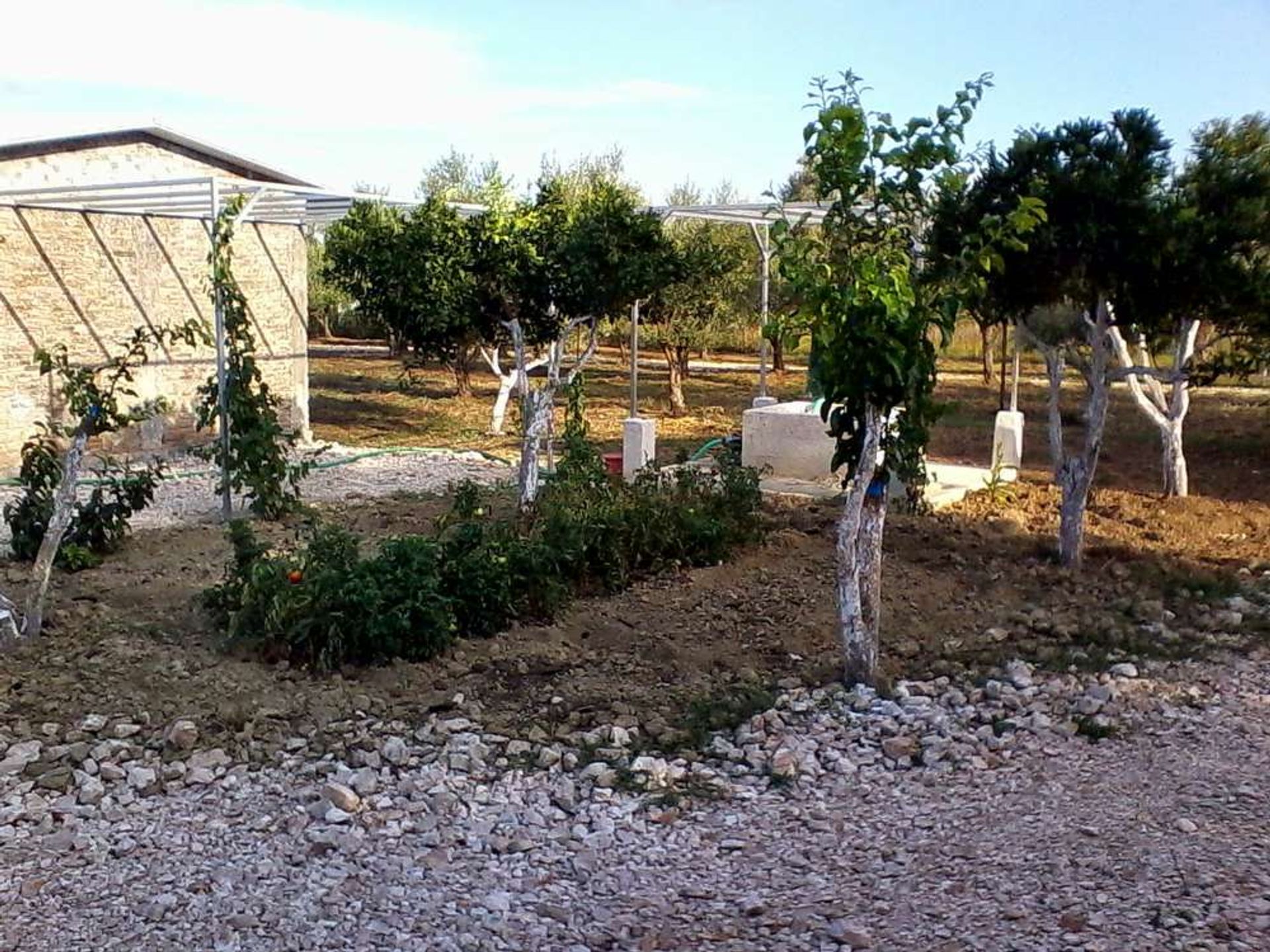 Tierra en bochalí, Jonia Nisia 10086730