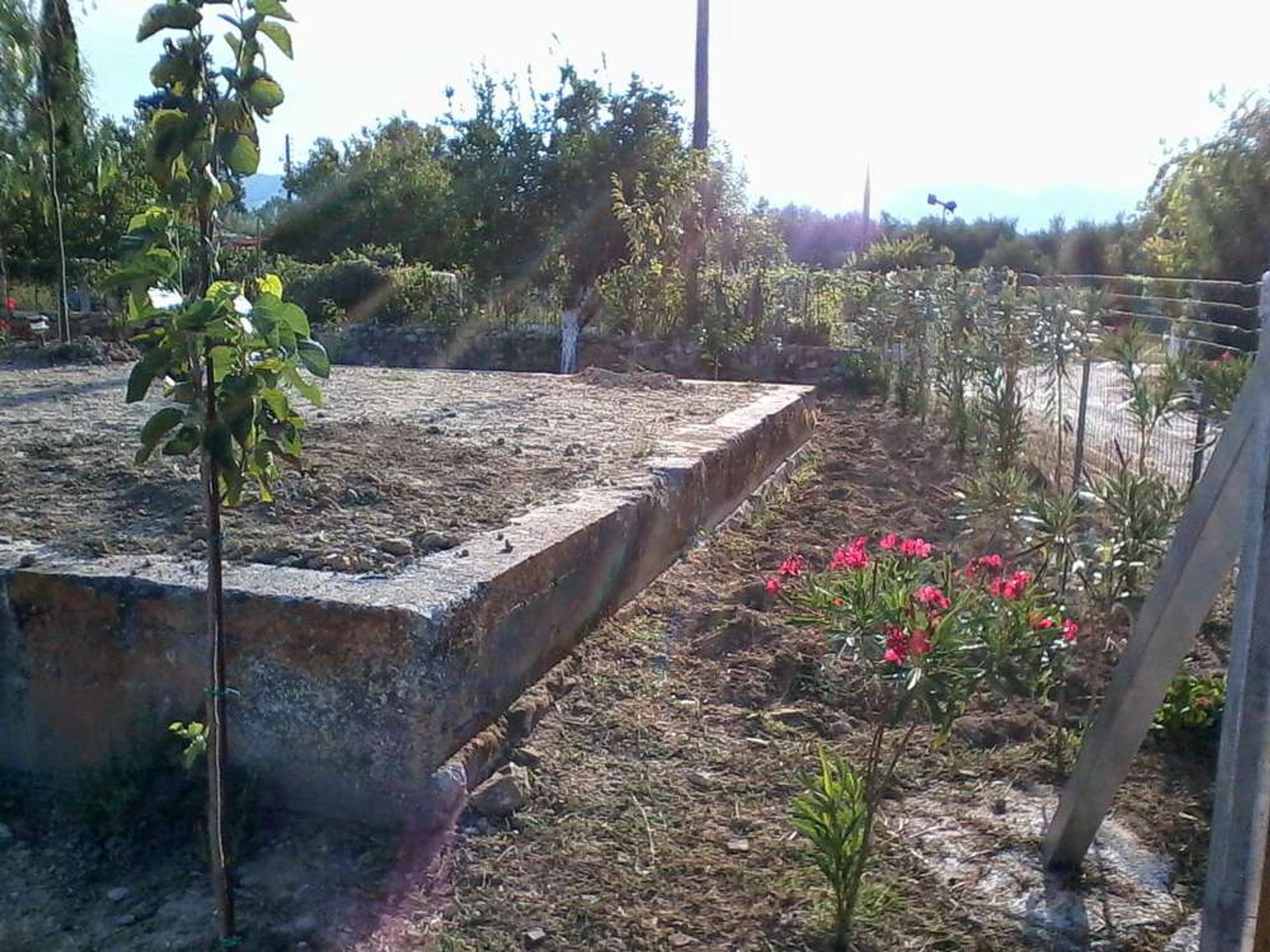 ארץ ב Zakynthos, Zakinthos 10086730