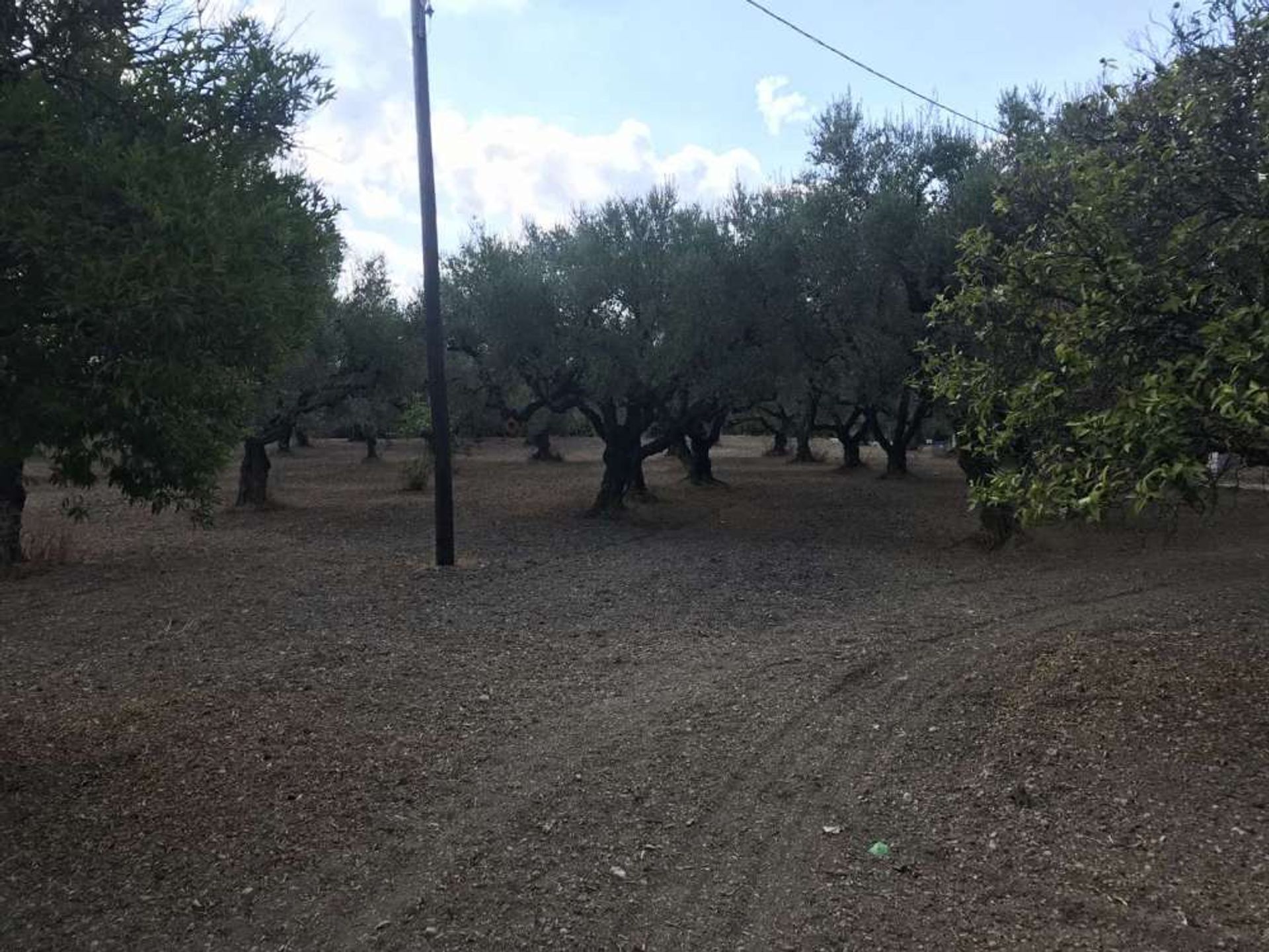 Jord i Zakynthos, Zakinthos 10086735