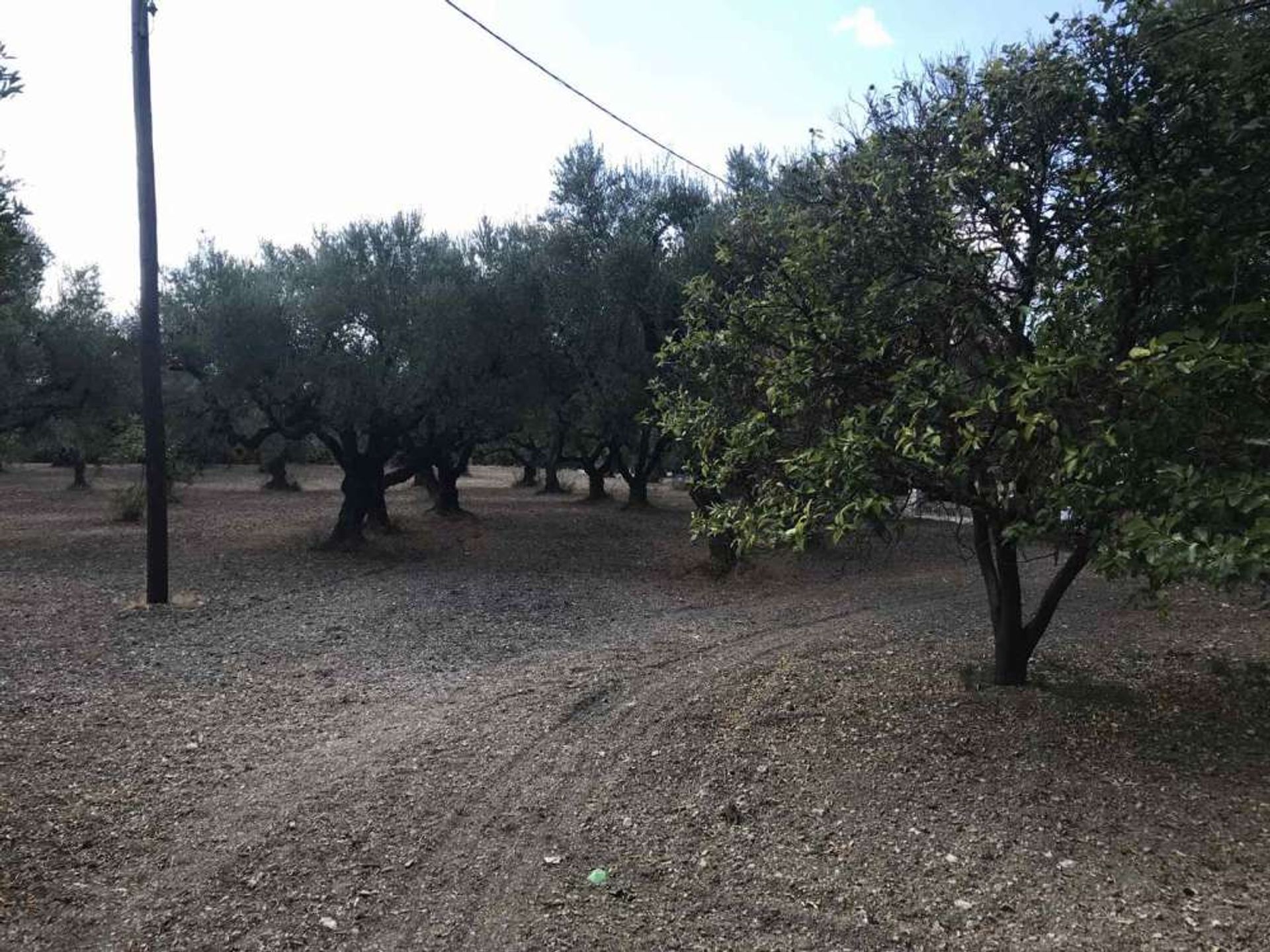 Земельные участки в Zakynthos, Zakinthos 10086735