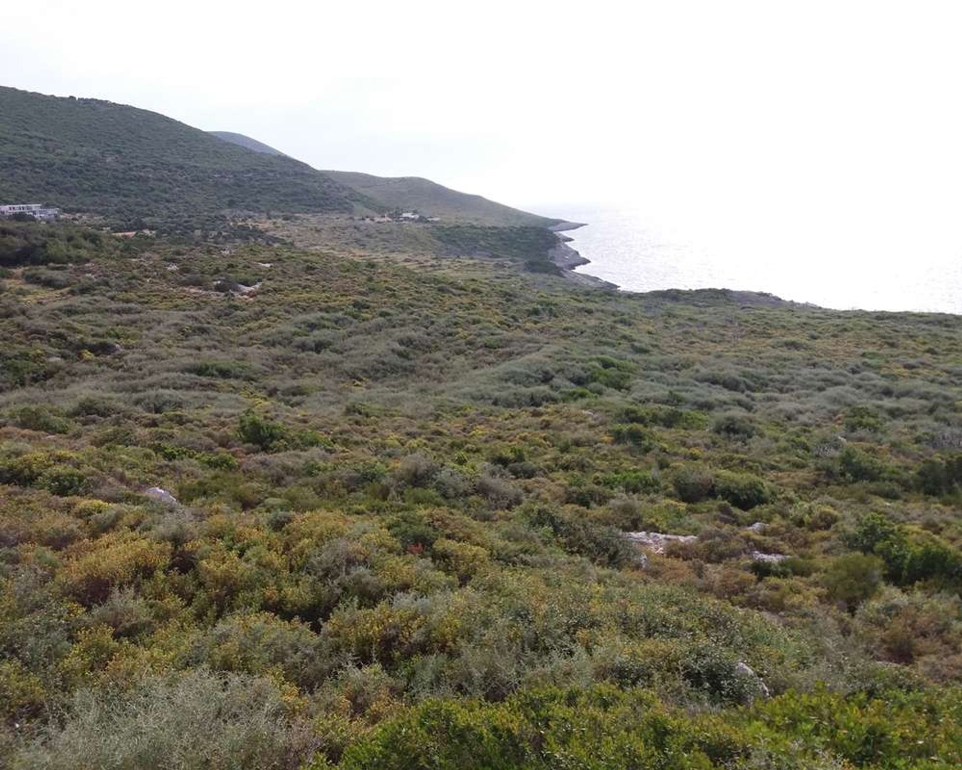 Maa sisään Zakynthos, Zakinthos 10086736