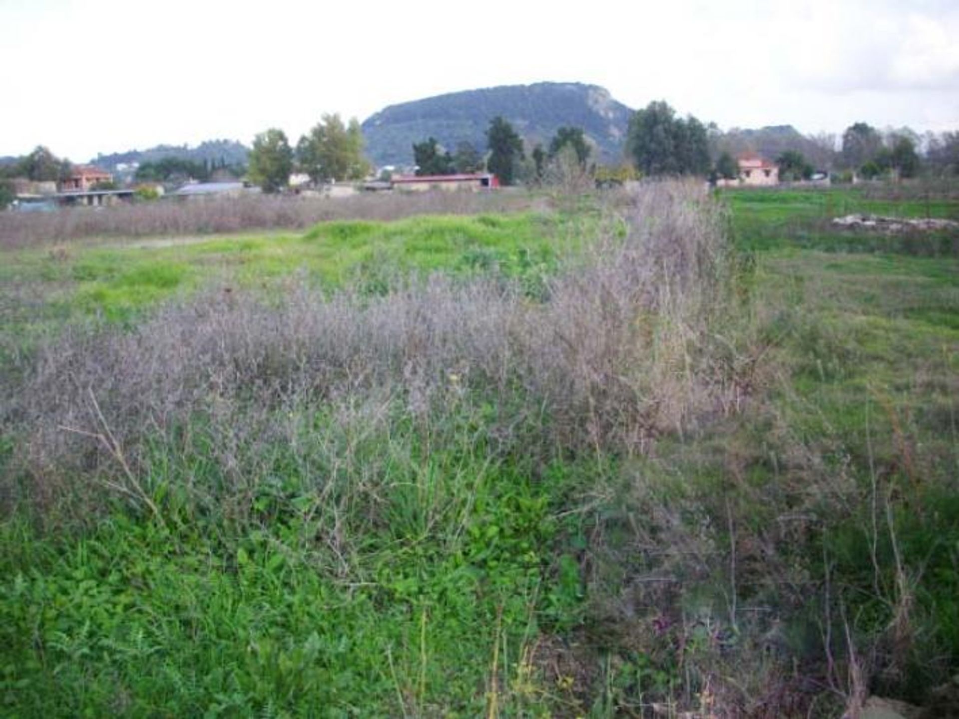 الأرض في Zakynthos, Zakinthos 10086739