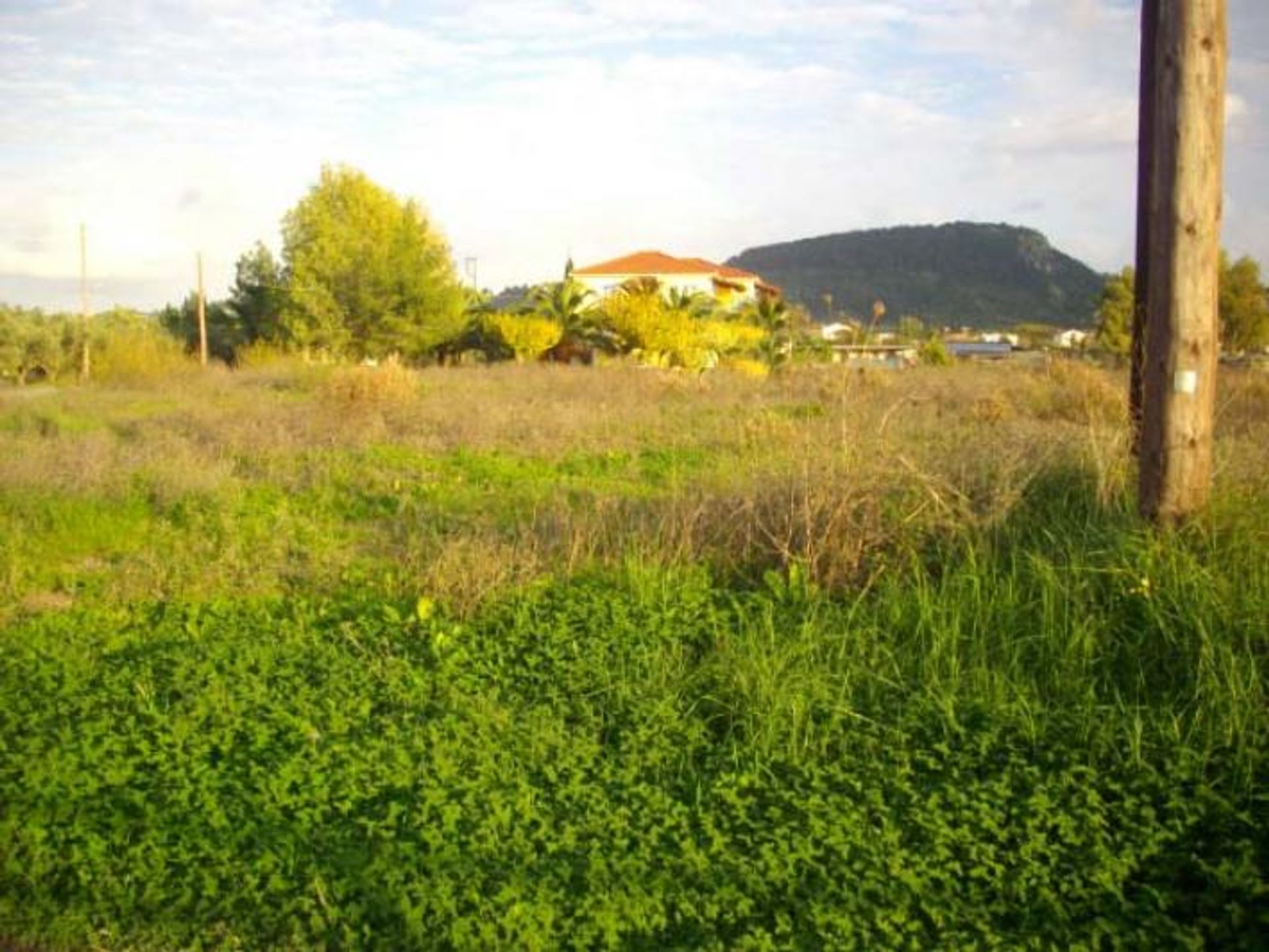 الأرض في Zakynthos, Zakinthos 10086739