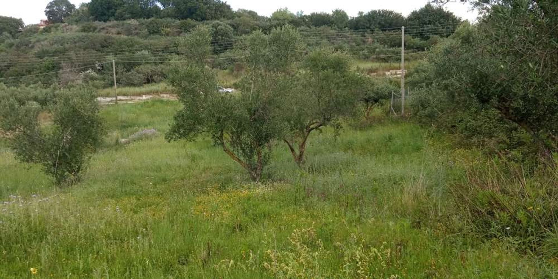 ארץ ב Zakynthos, Zakinthos 10086742