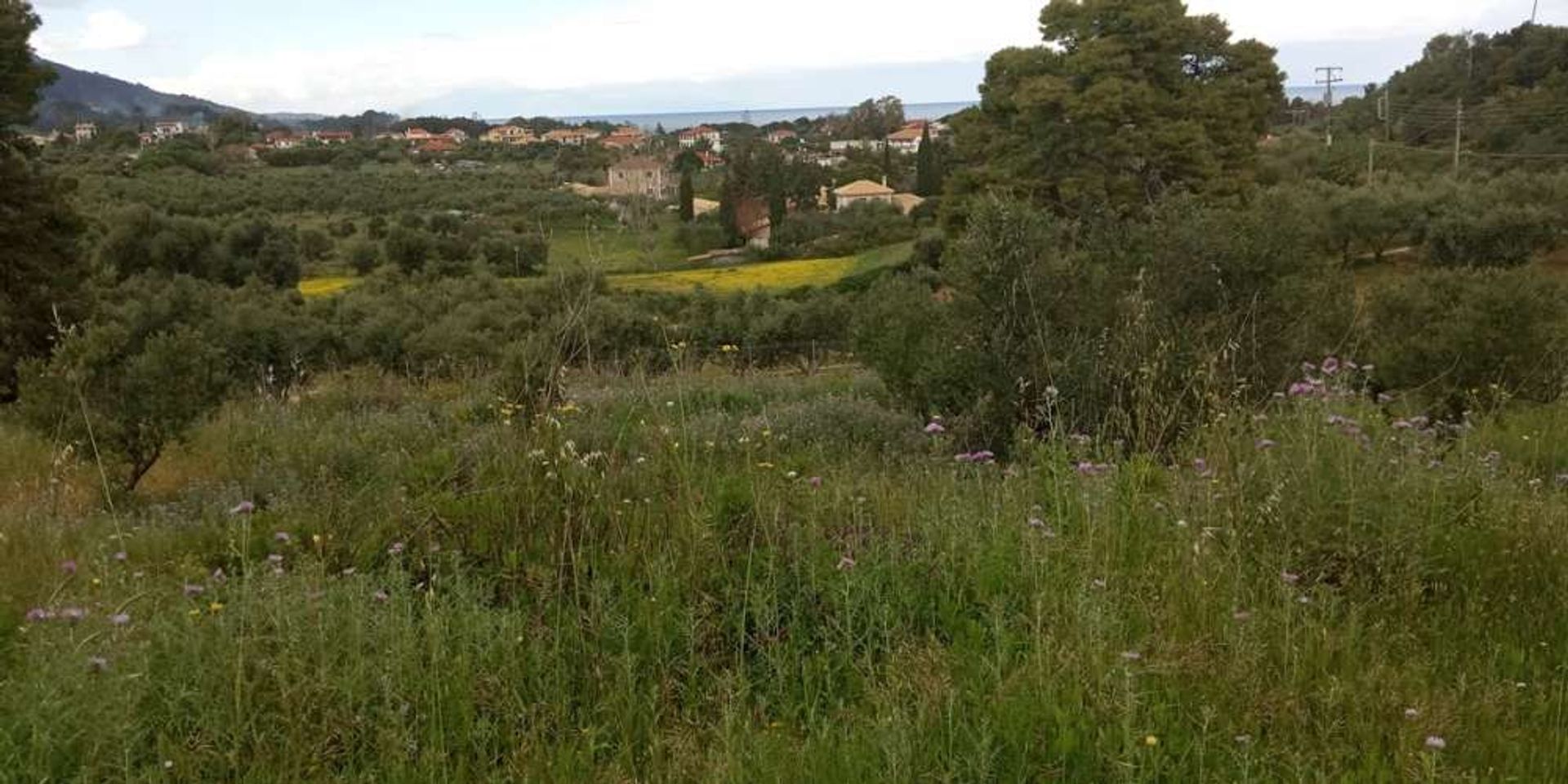 土地 在 Zakynthos, Zakinthos 10086742