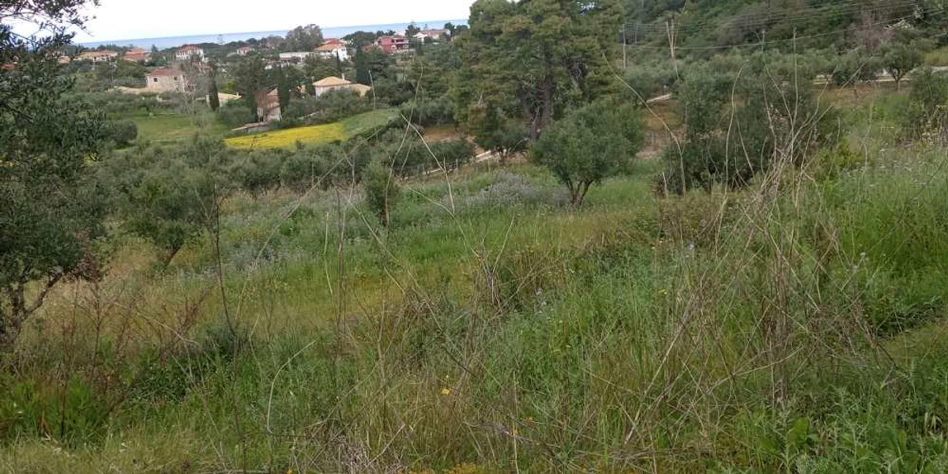 土地 在 Zakynthos, Zakinthos 10086742