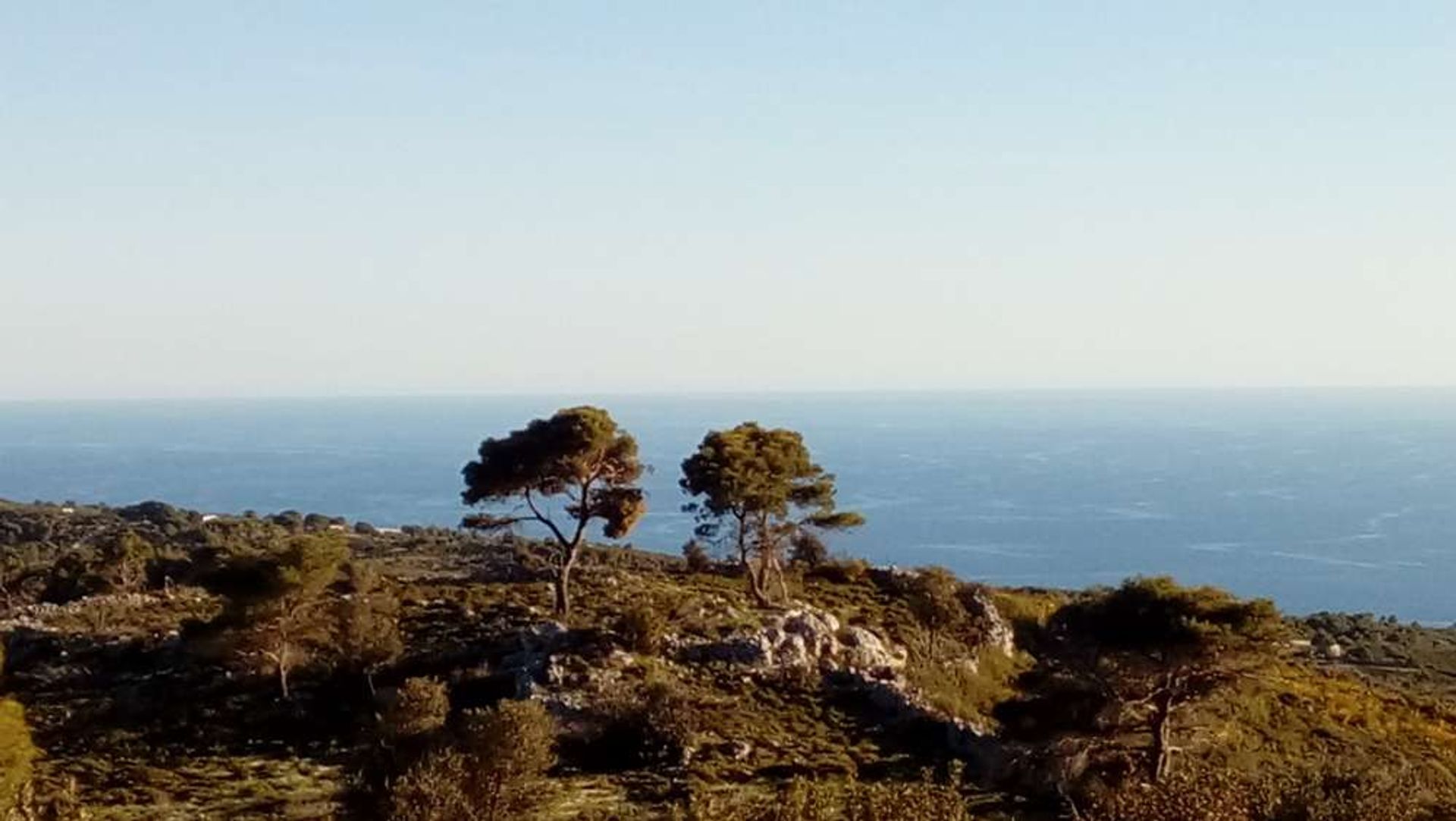 Land in Zakynthos, Zakinthos 10086743