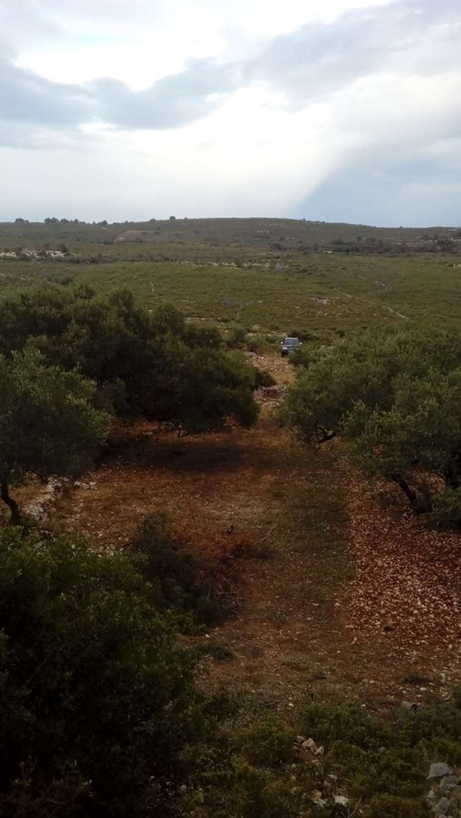 Land in Bochali, Ionië Nisia 10086743