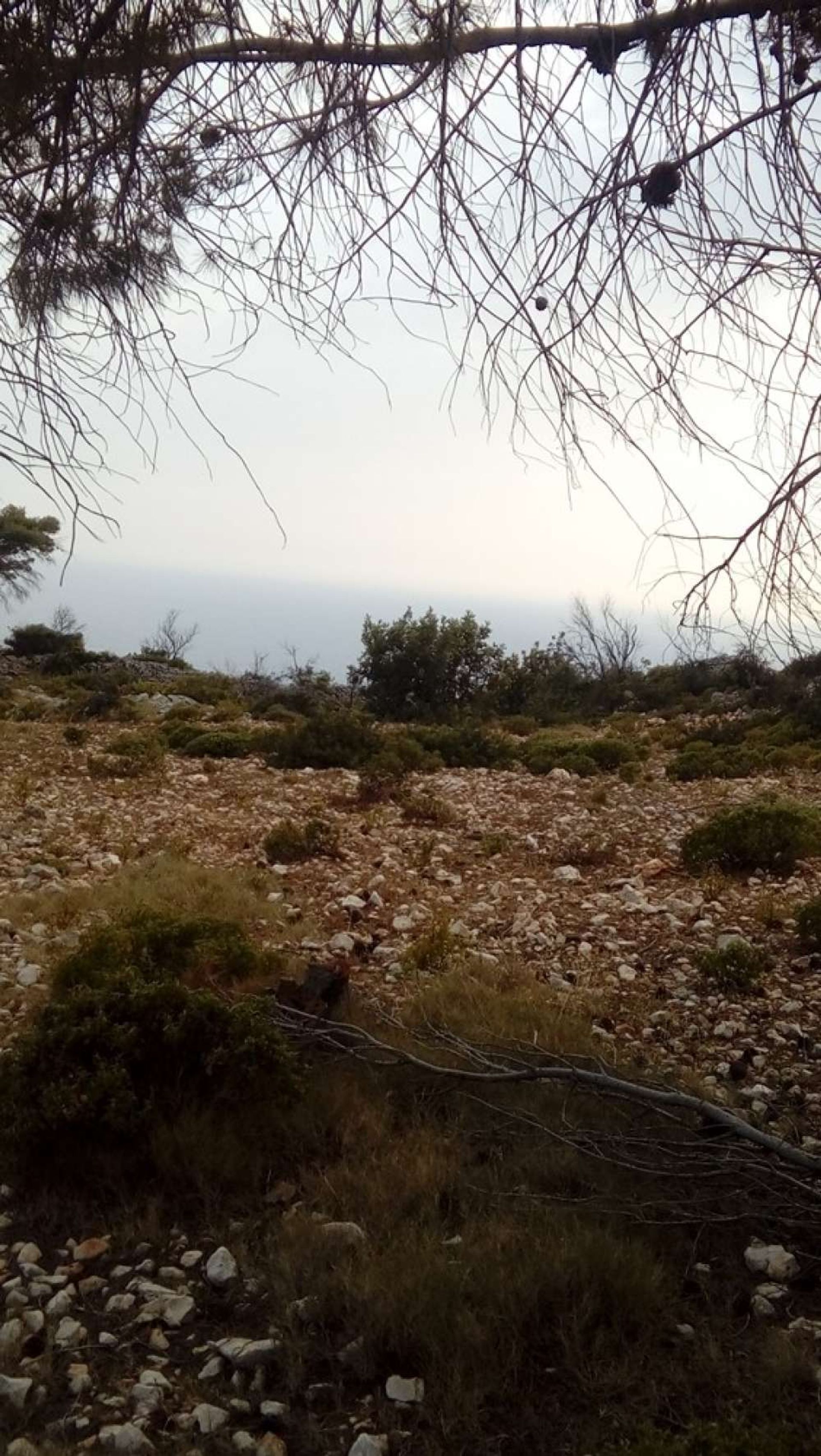 Land i Zakynthos, Zakinthos 10086743