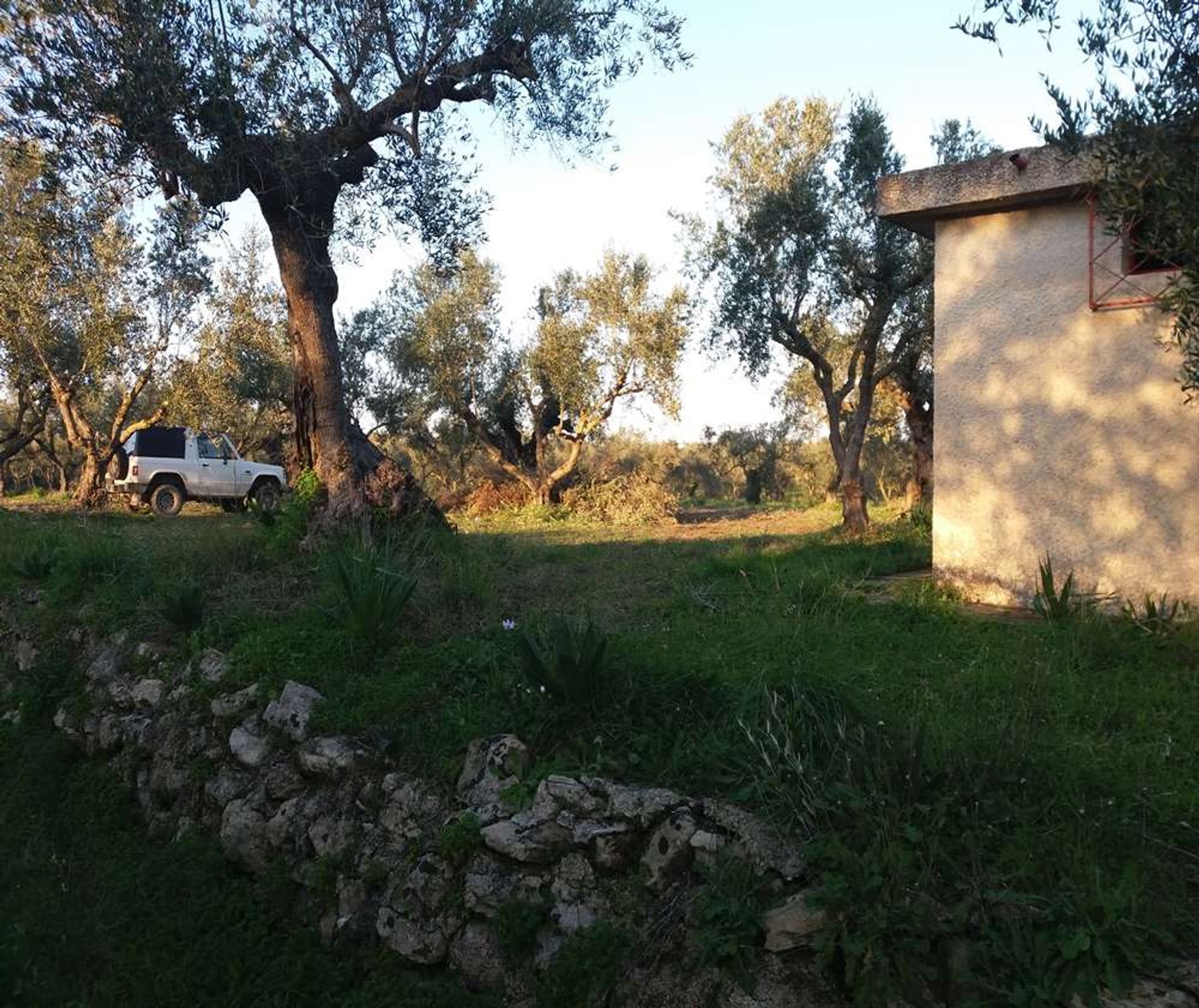 Tanah di Zakynthos, Zakinthos 10086744