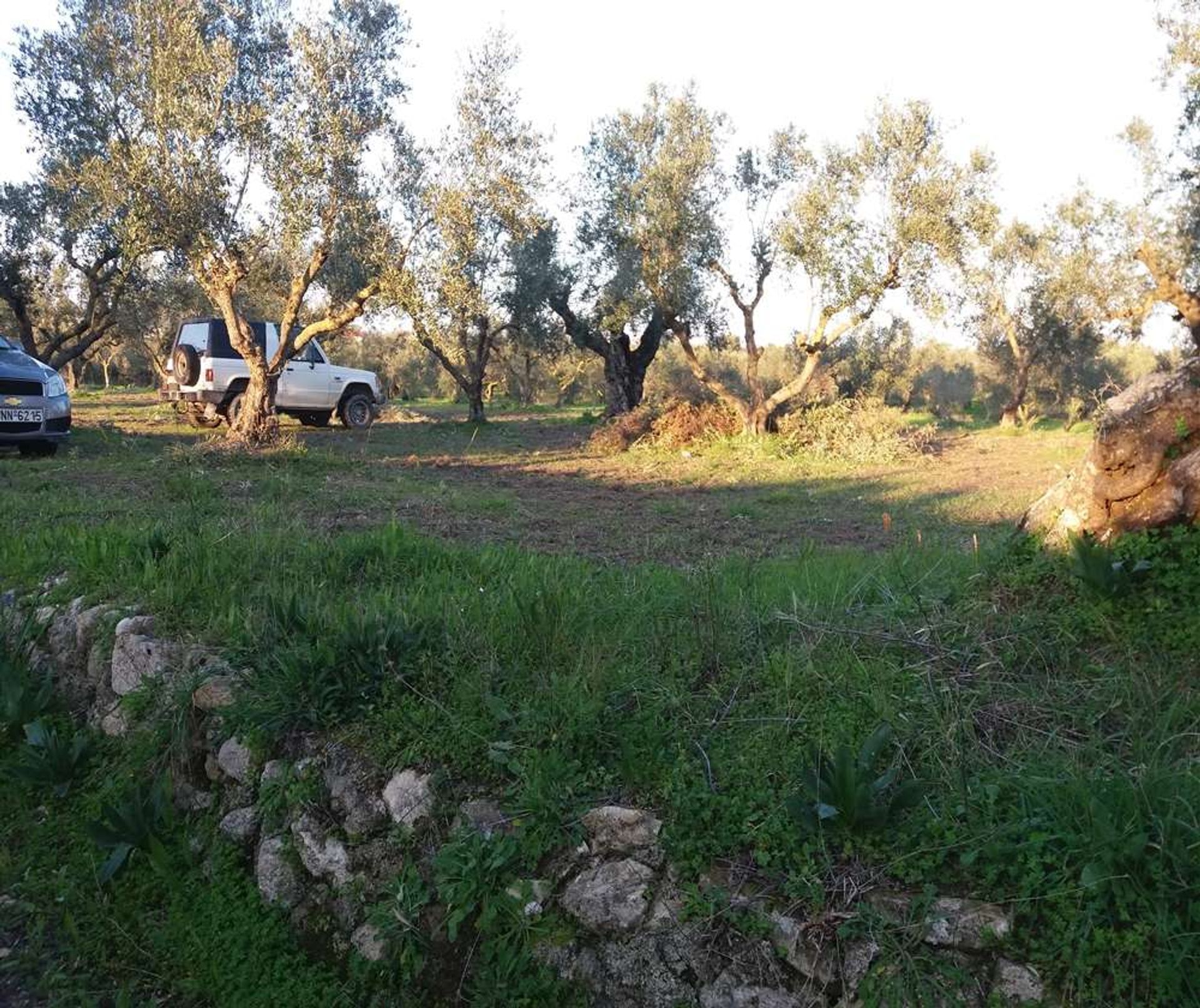 ארץ ב Zakynthos, Zakinthos 10086744