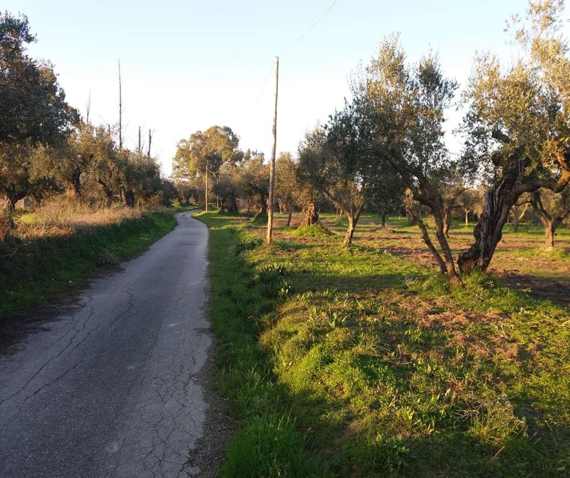 ארץ ב Zakynthos, Zakinthos 10086744