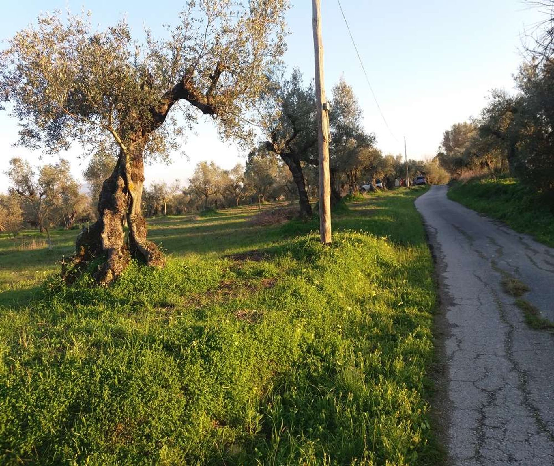 ארץ ב Zakynthos, Zakinthos 10086744