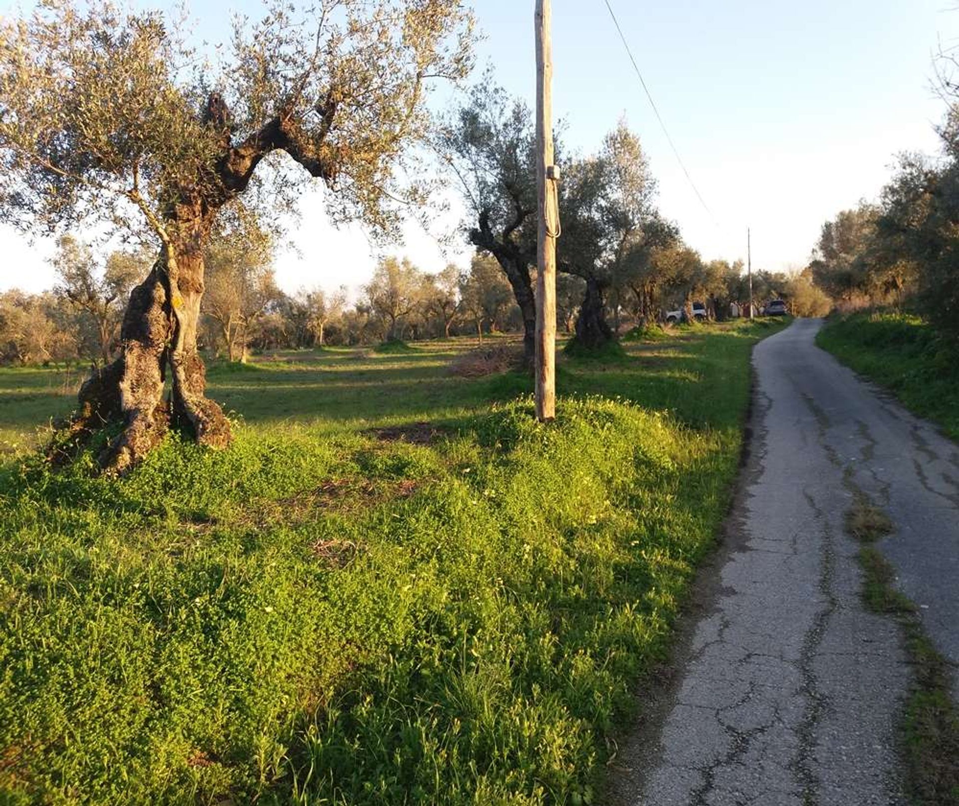 Tanah di Zakynthos, Zakinthos 10086744