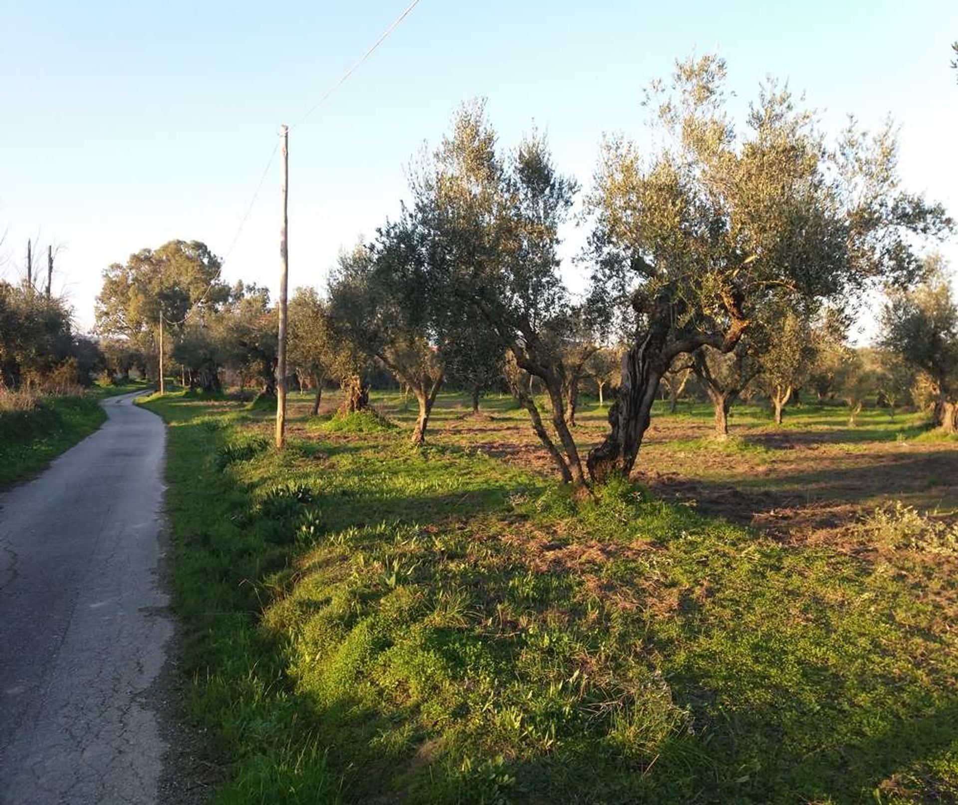 ארץ ב Zakynthos, Zakinthos 10086744