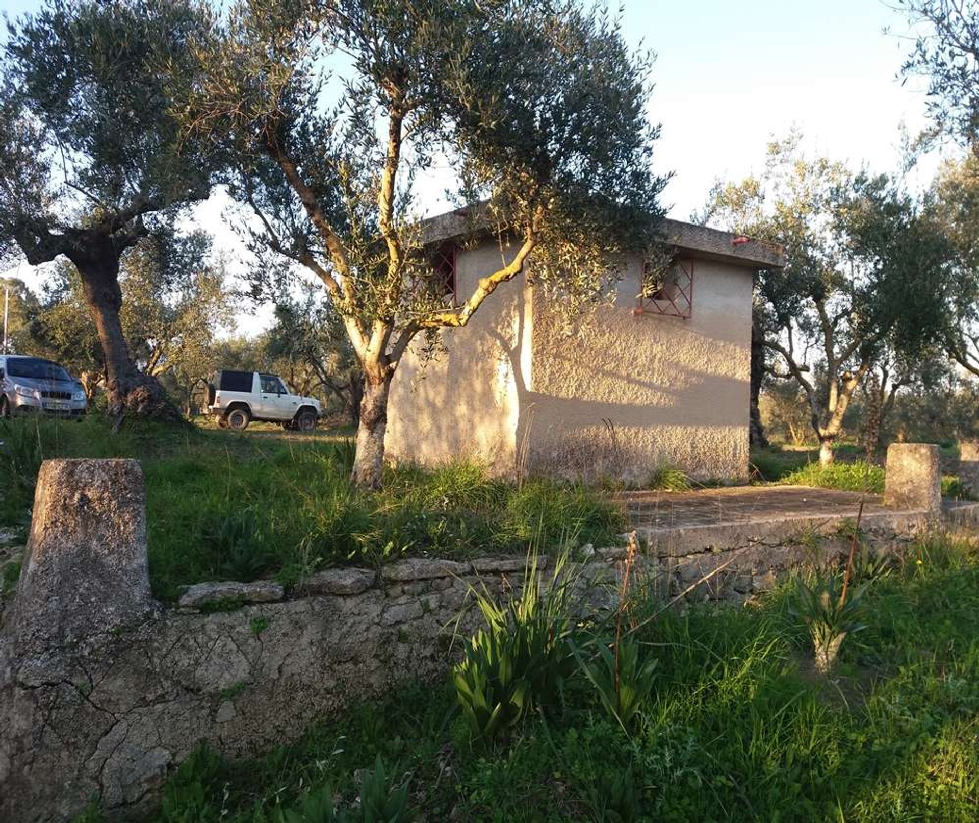 ארץ ב Zakynthos, Zakinthos 10086744