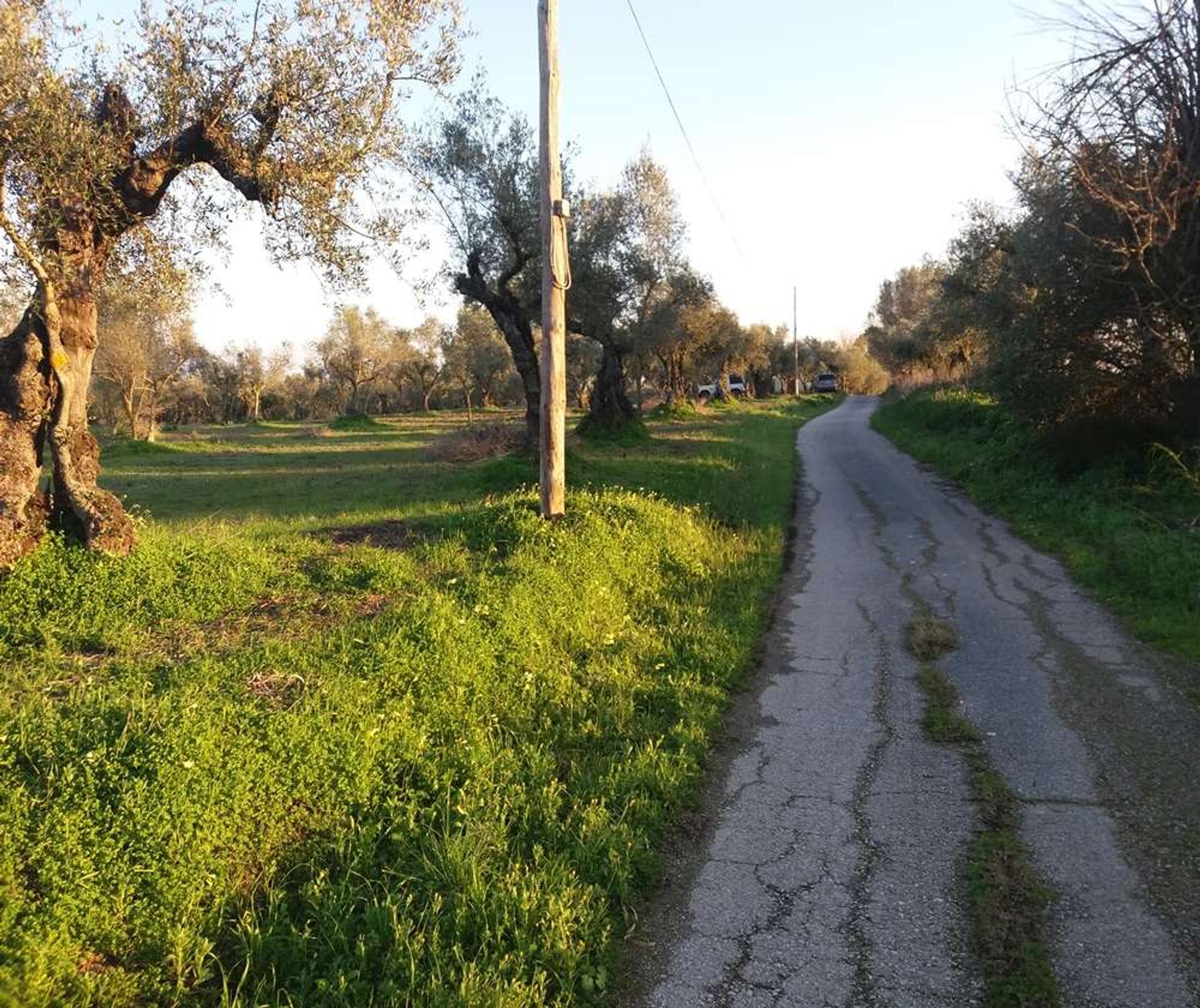 ארץ ב Zakynthos, Zakinthos 10086744