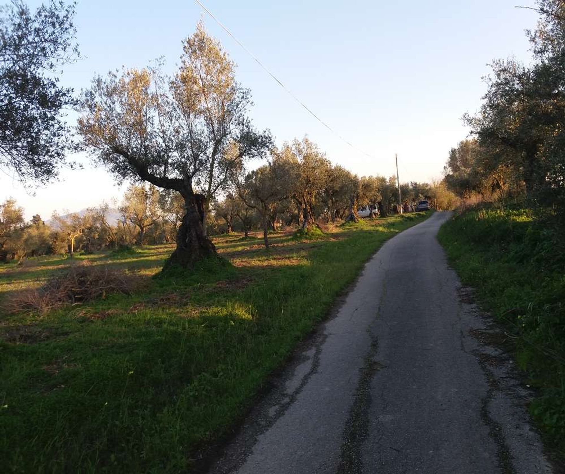 ארץ ב Zakynthos, Zakinthos 10086744