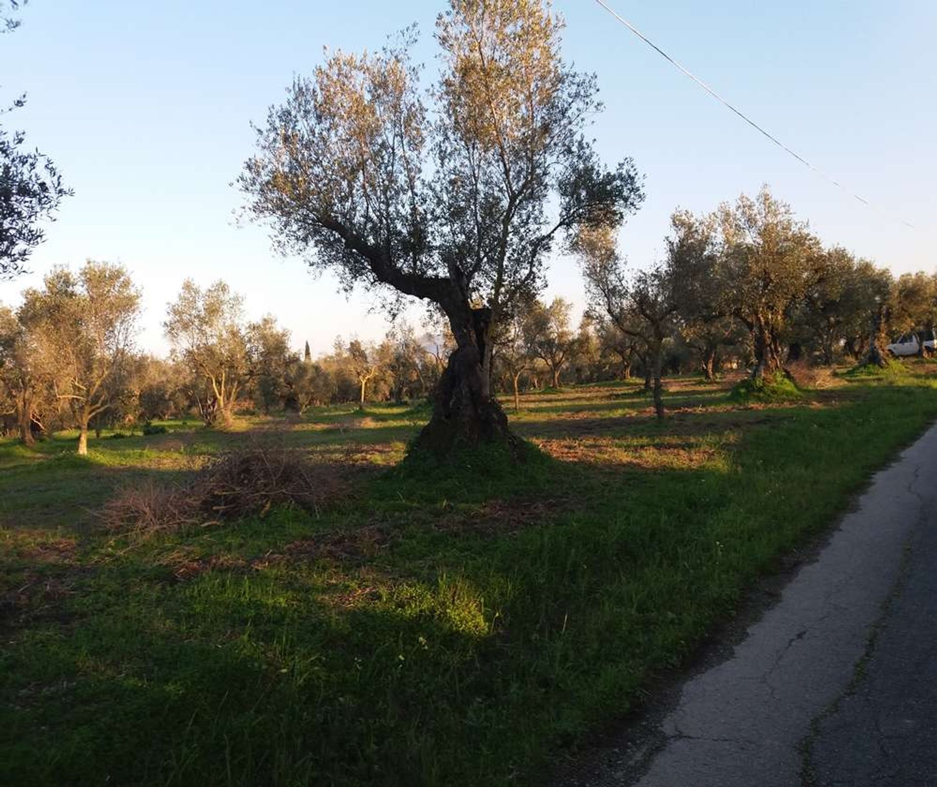 Tanah di Zakynthos, Zakinthos 10086744