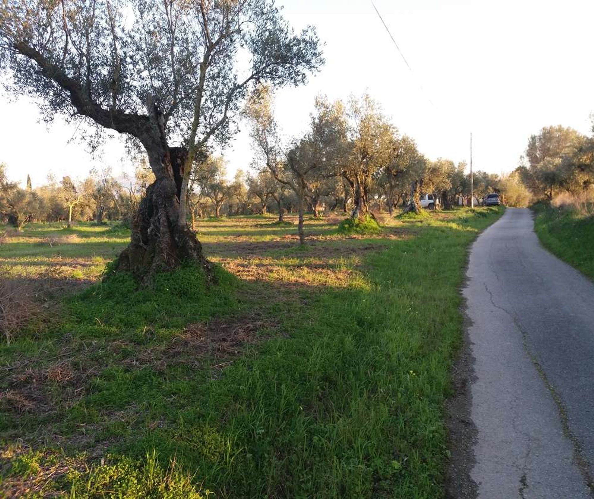 ארץ ב Zakynthos, Zakinthos 10086744