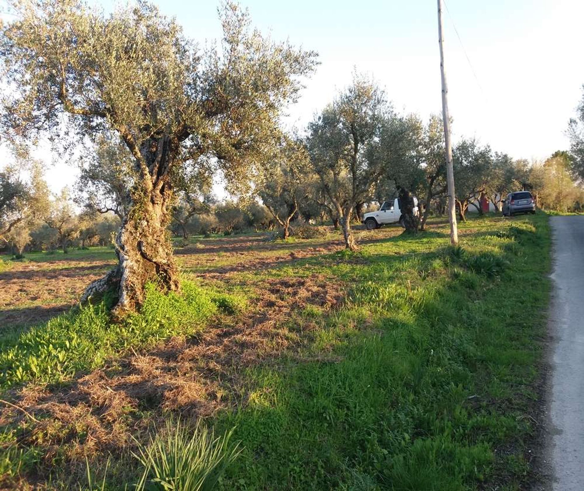 ארץ ב Zakynthos, Zakinthos 10086744