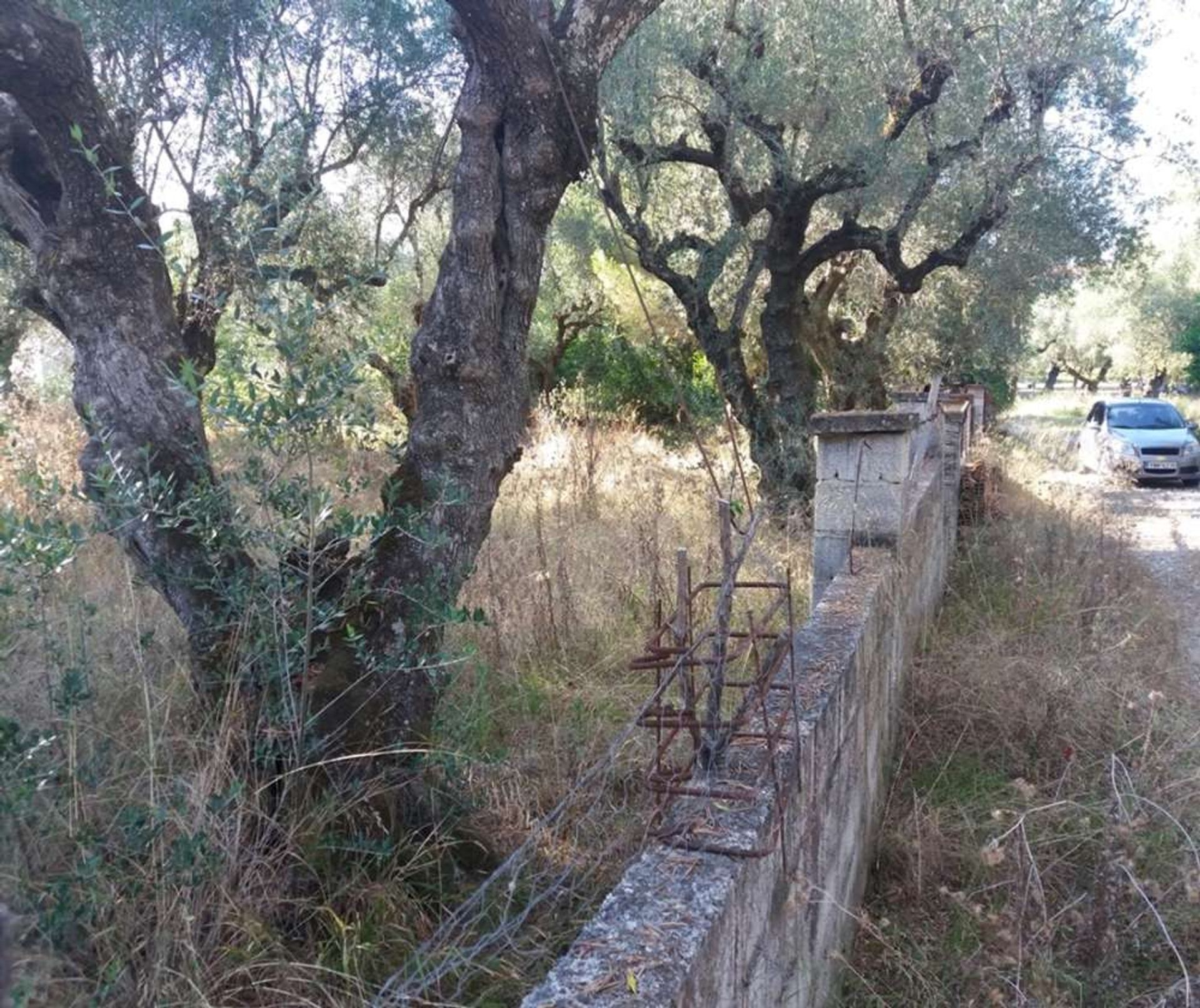 الأرض في Zakynthos, Zakinthos 10086746