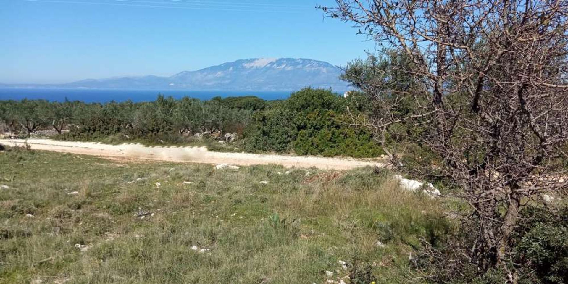 Land in Bochali, Ionia Nisia 10086749