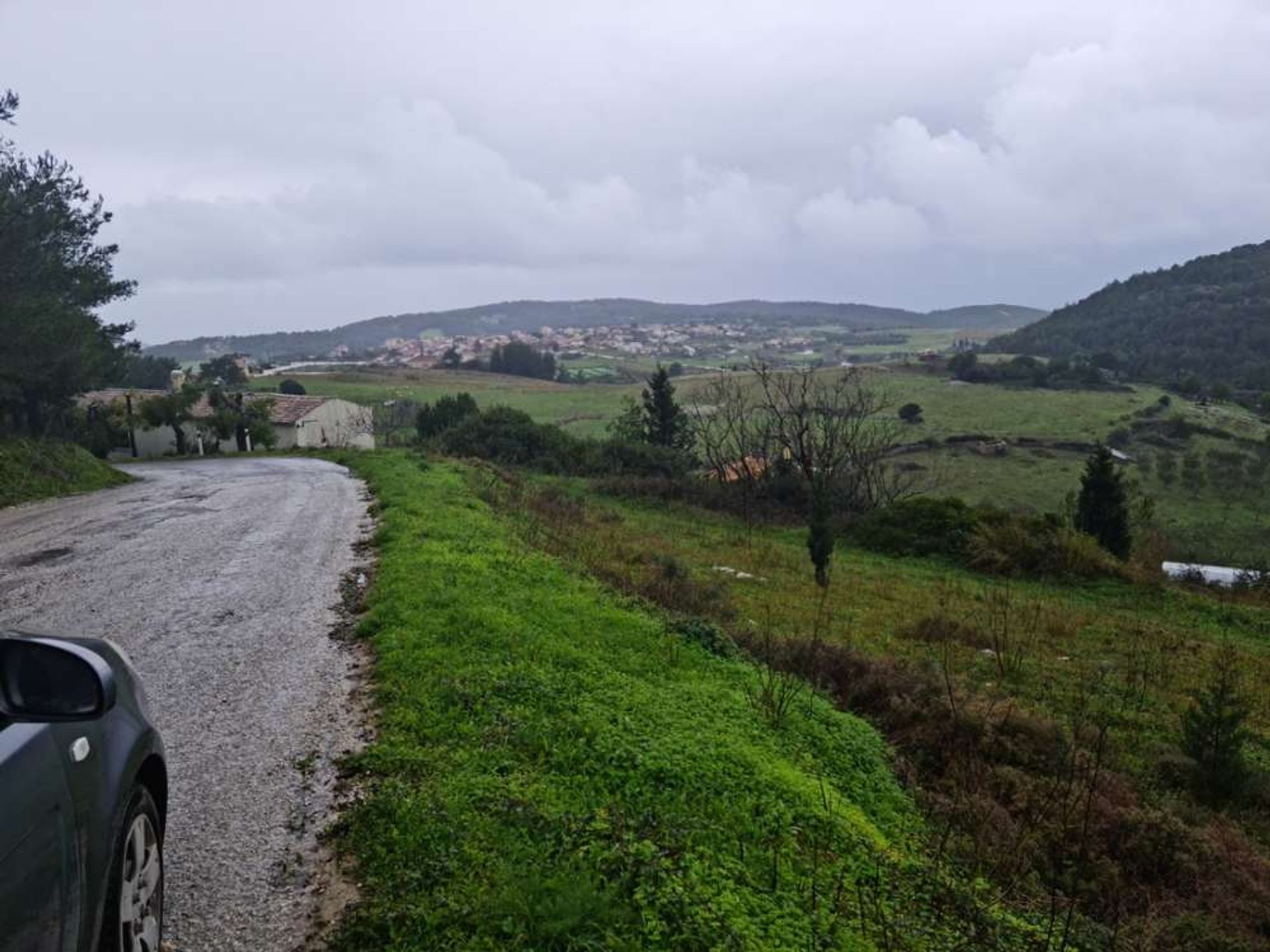 Tierra en bochalí, Jonia Nisia 10086752