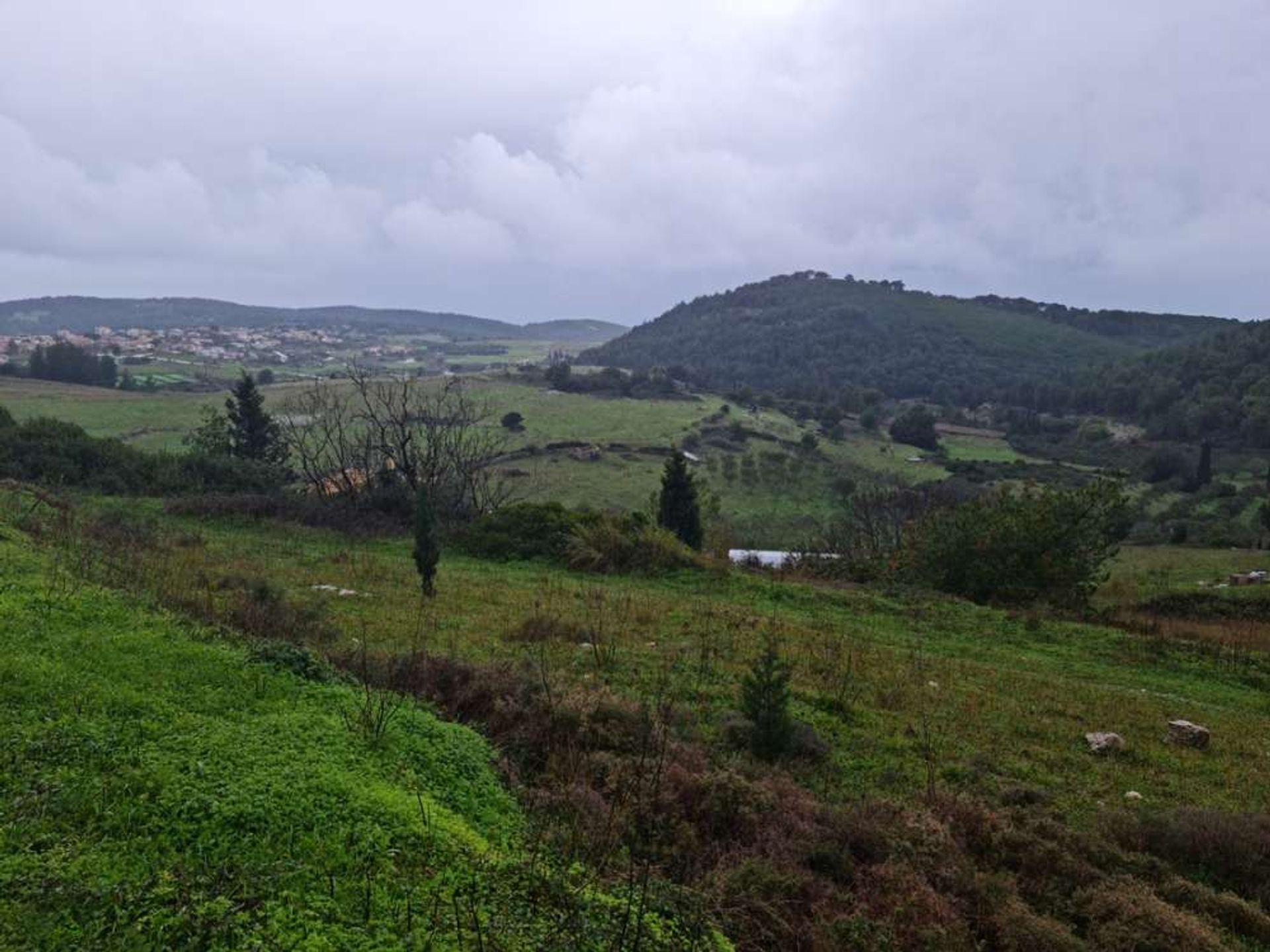 Tierra en bochalí, Jonia Nisia 10086752