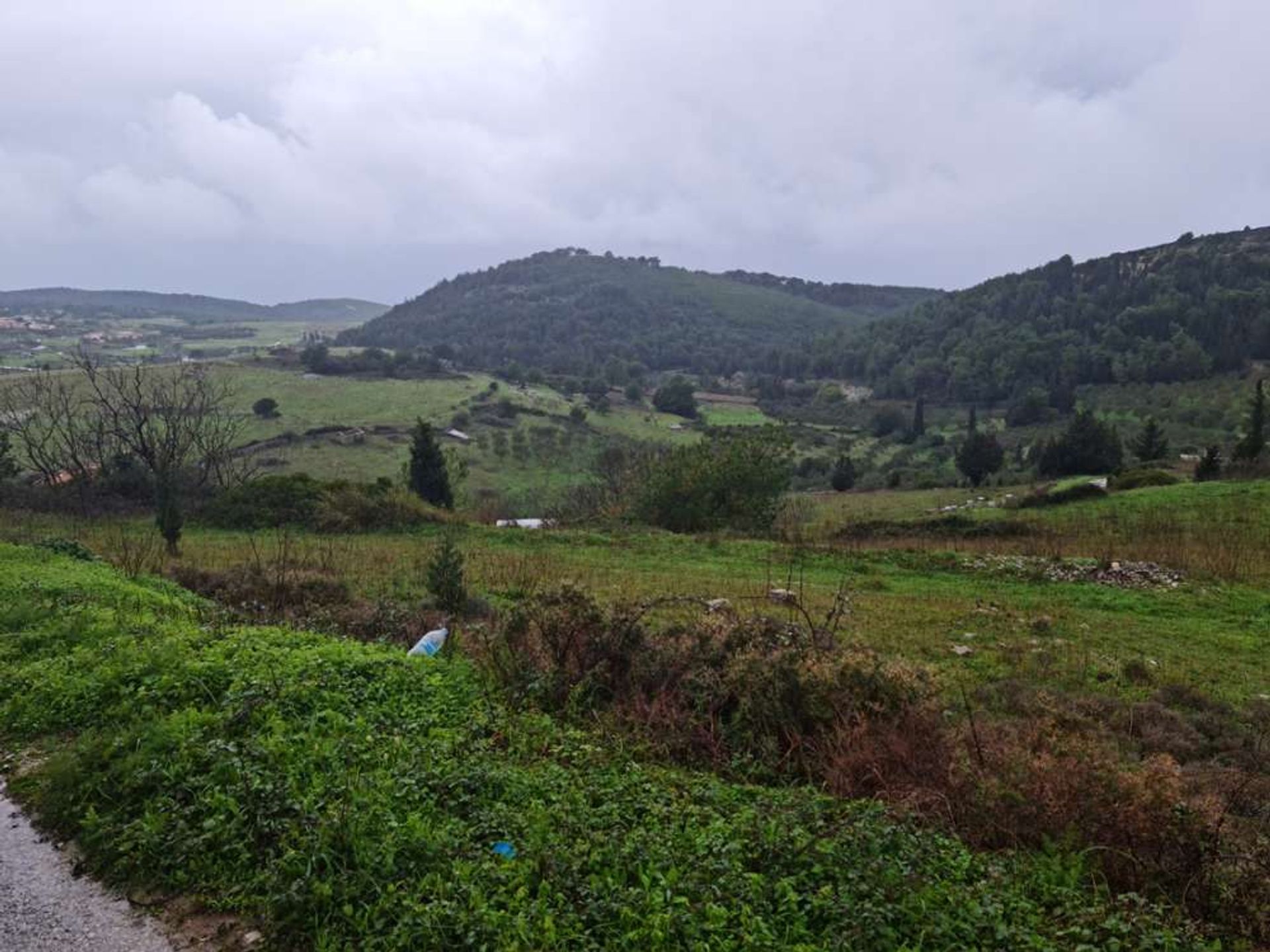 Tierra en bochalí, Jonia Nisia 10086752