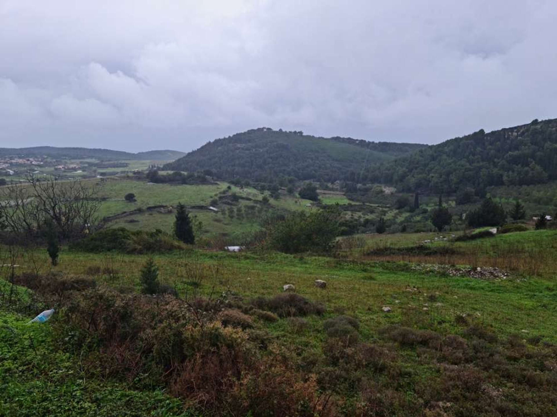 Tierra en bochalí, Jonia Nisia 10086752