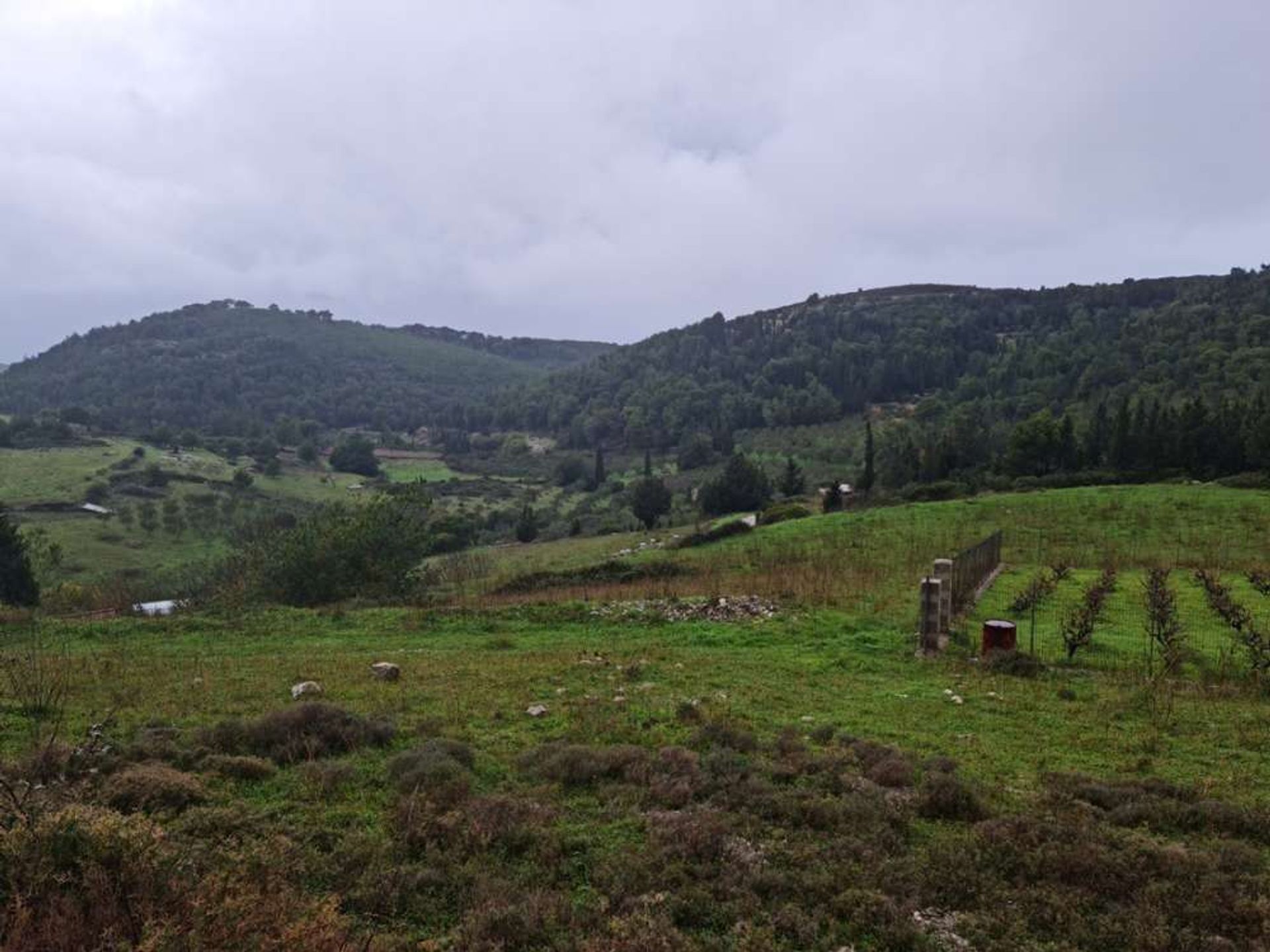 Tierra en bochalí, Jonia Nisia 10086752