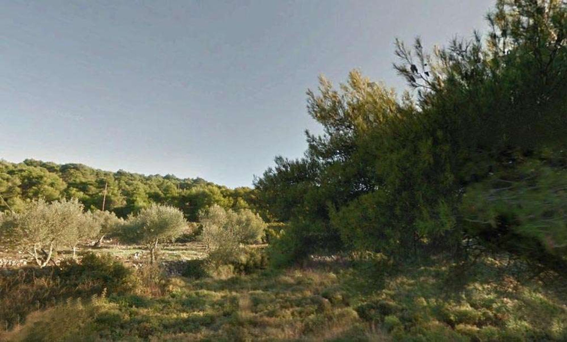 Terre dans Zakynthos, Zakinthos 10086754