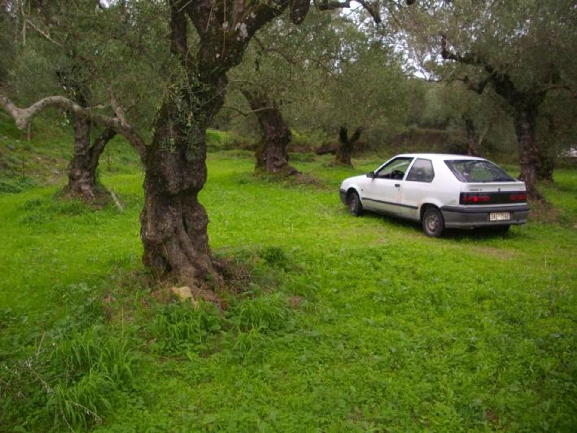 Γη σε Μπόχαλη, Ιωνία Νησιά 10086756