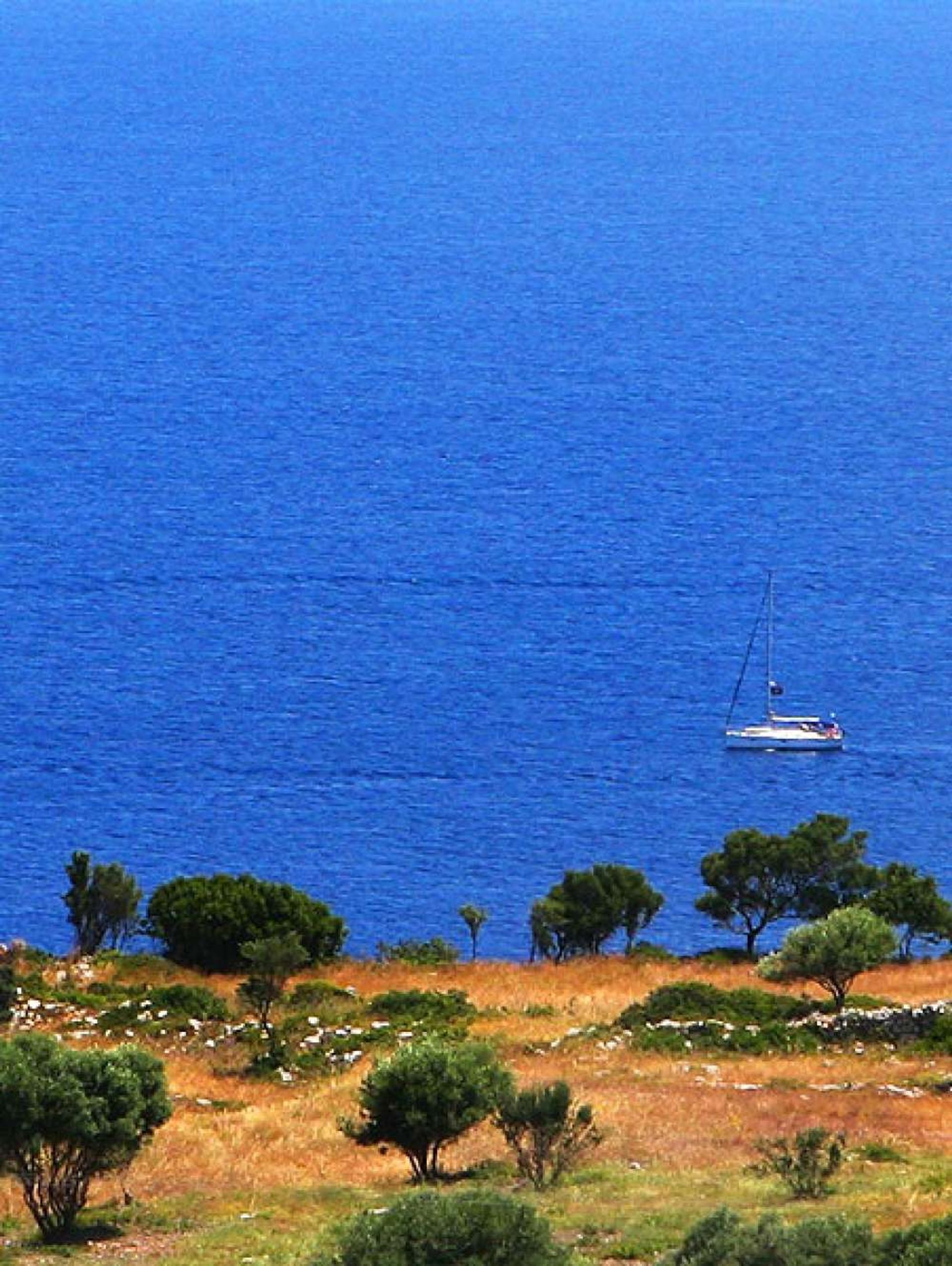 Tierra en bochalí, Jonia Nisia 10086757