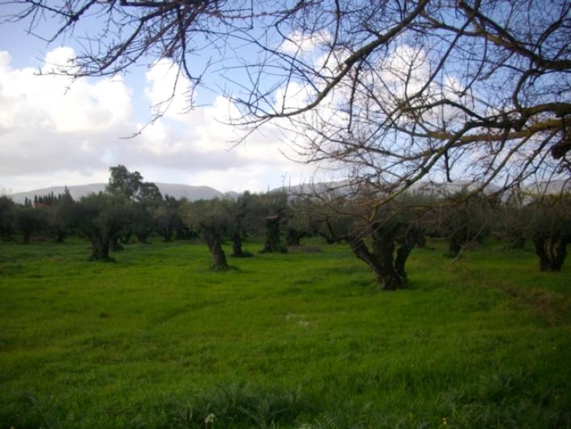 Tanah di Zakynthos, Zakinthos 10086758