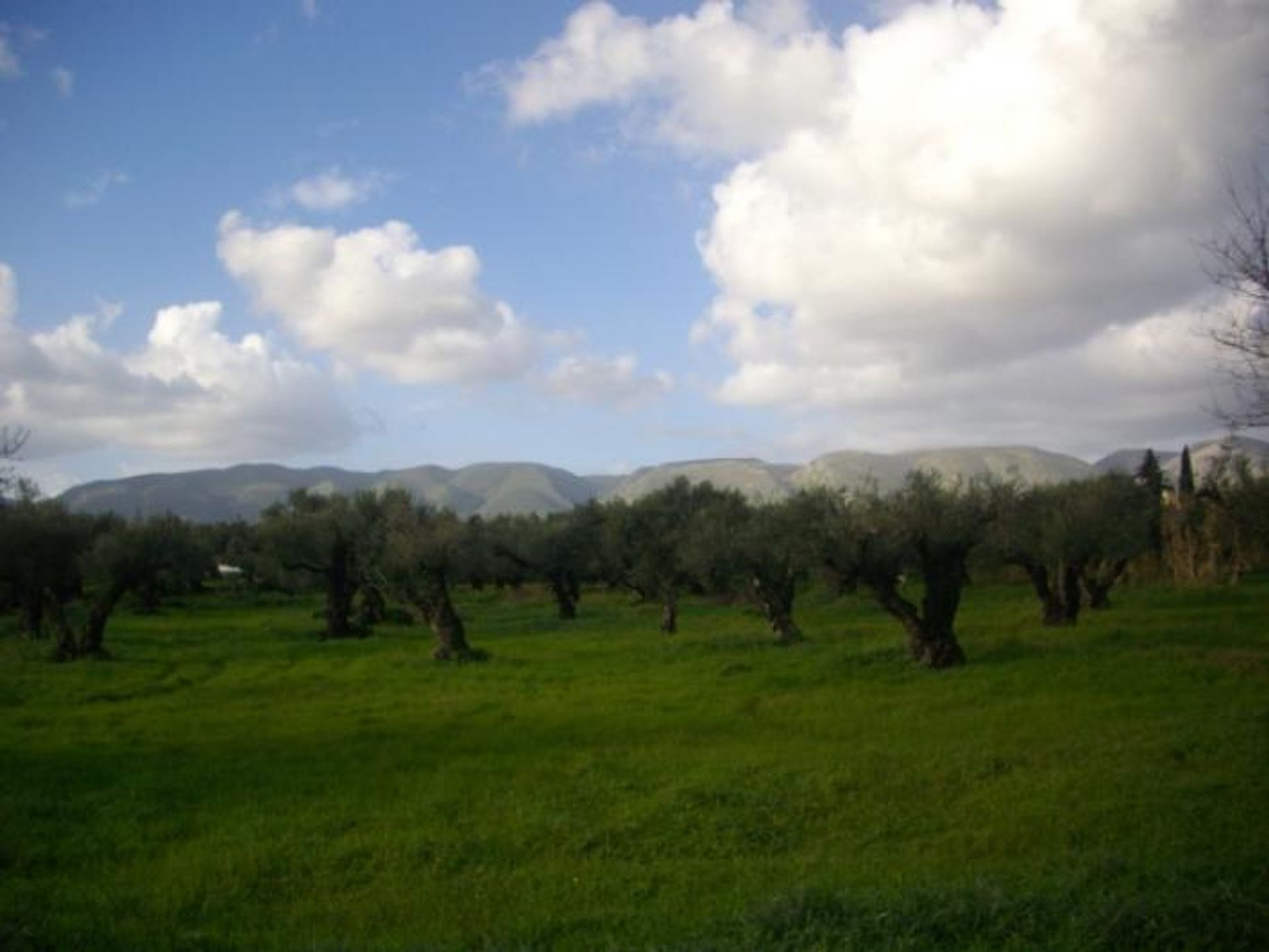 Jord i Zakynthos, Zakinthos 10086758